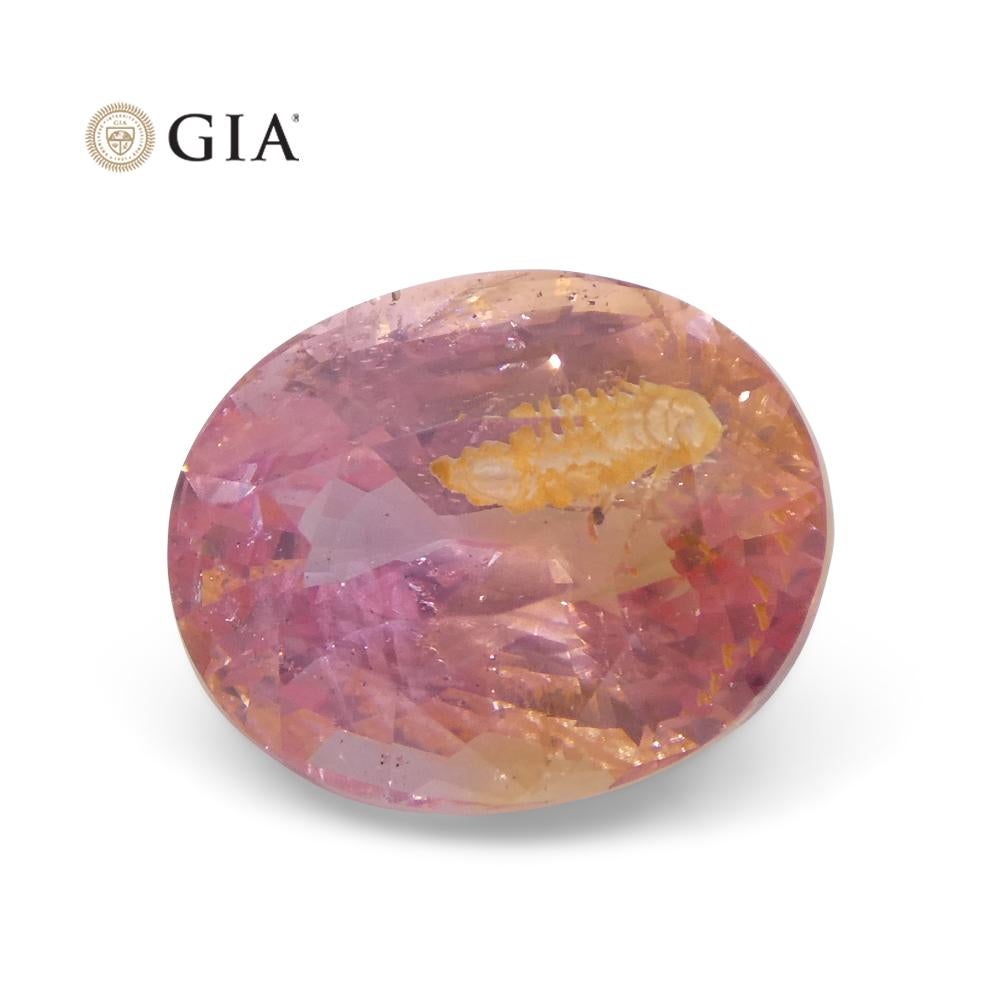 7.01ct Oval Pink-Orange Padparadscha Sapphire GIA Certified Sri Lanka For Sale 3