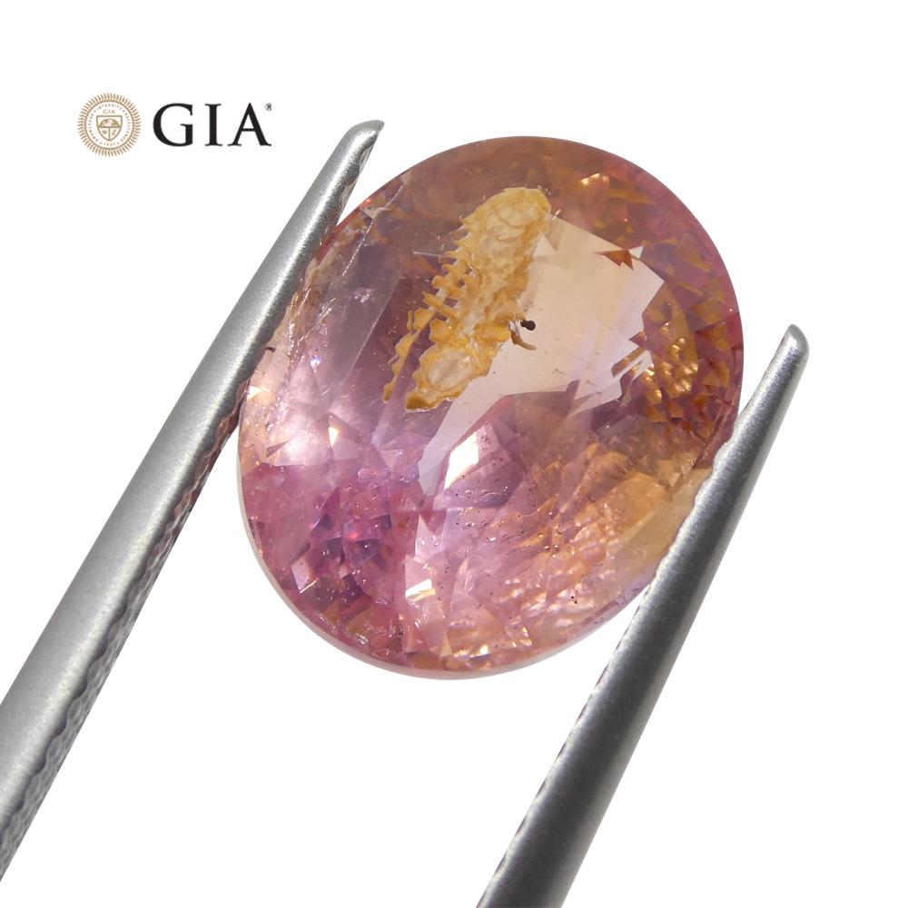 7.01ct Oval Pink-Orange Padparadscha Sapphire GIA Certified Sri Lanka In New Condition For Sale In Toronto, Ontario