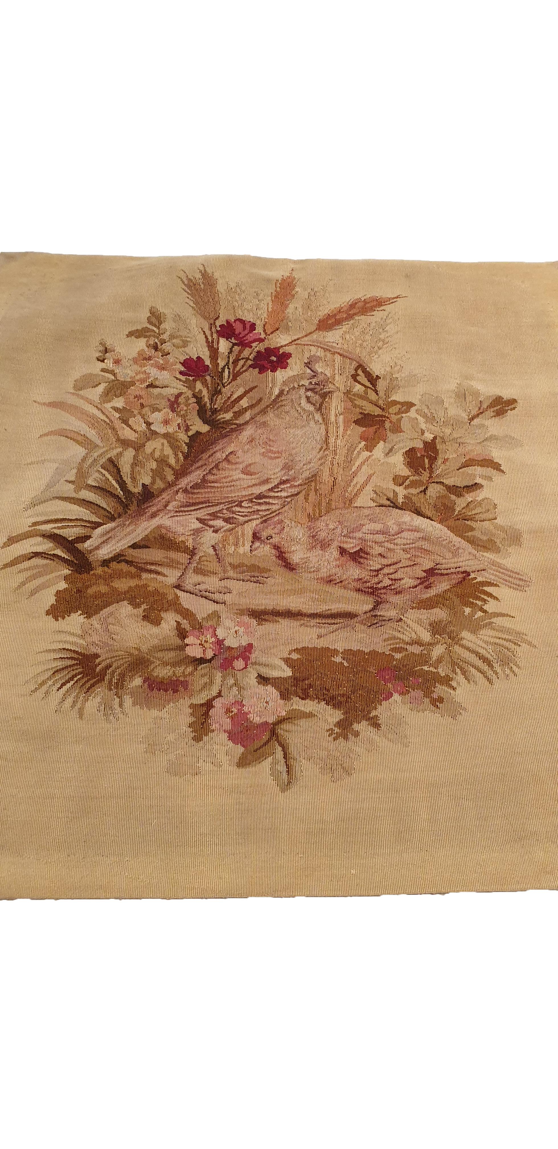 French 705 - 19th Century Aubusson Tapestry