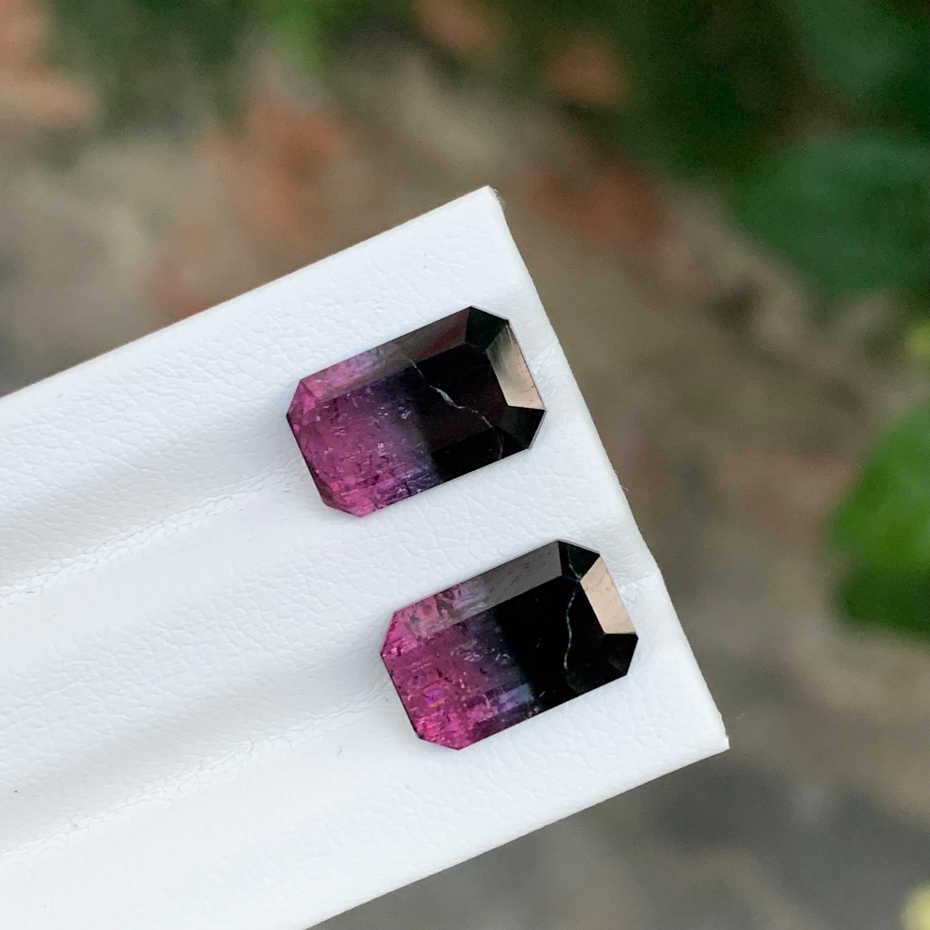 7.05 Carat Natural Loose Bicolour Tourmaline Pair Emerald Shape Gem en vente 4