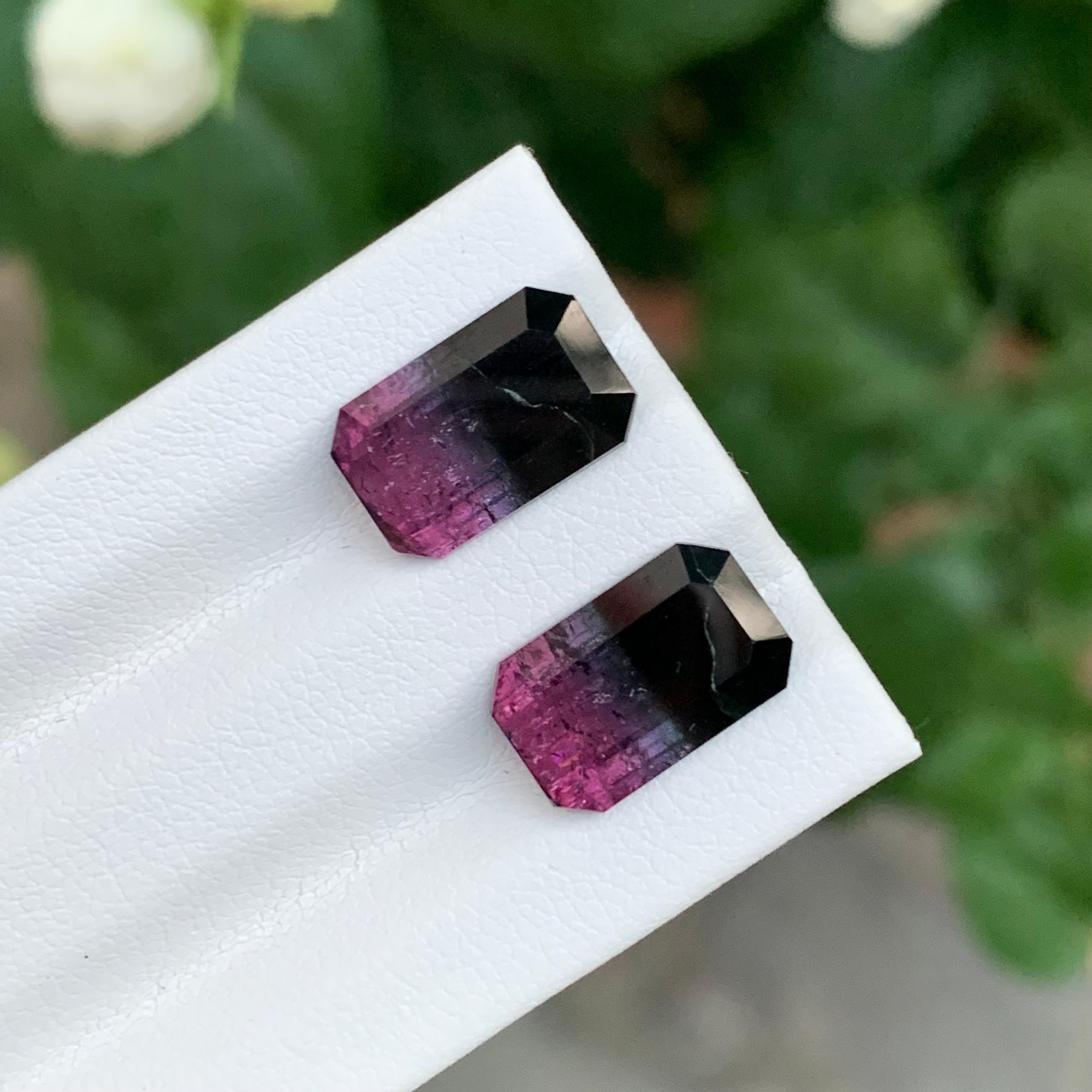 Paire de tourmalines bicolores en vrac 

Poids : 7,05 carats
Dimension : 11.6 x 7.3 x 4.4 Mm Et 
                    11.7 x 7.5 x 4.4 Mm 
Origine : Afghanistan
Certificat : Sur demande
Traitement : Non
Forme : Émeraude 
Couleur : noir et rose 


La