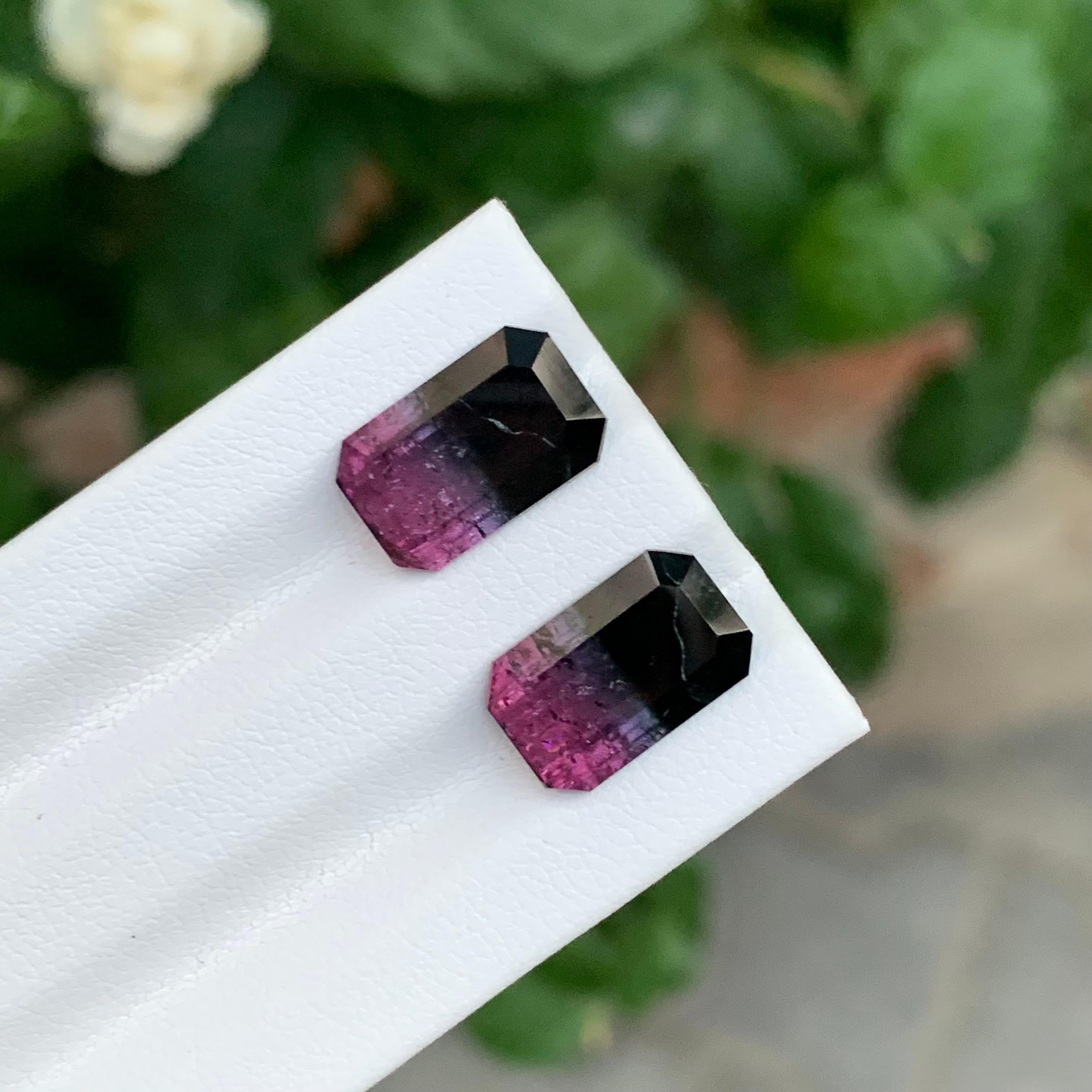 7.05 Carat Natural Loose Bicolour Tourmaline Pair Emerald Shape Gem Unisexe en vente