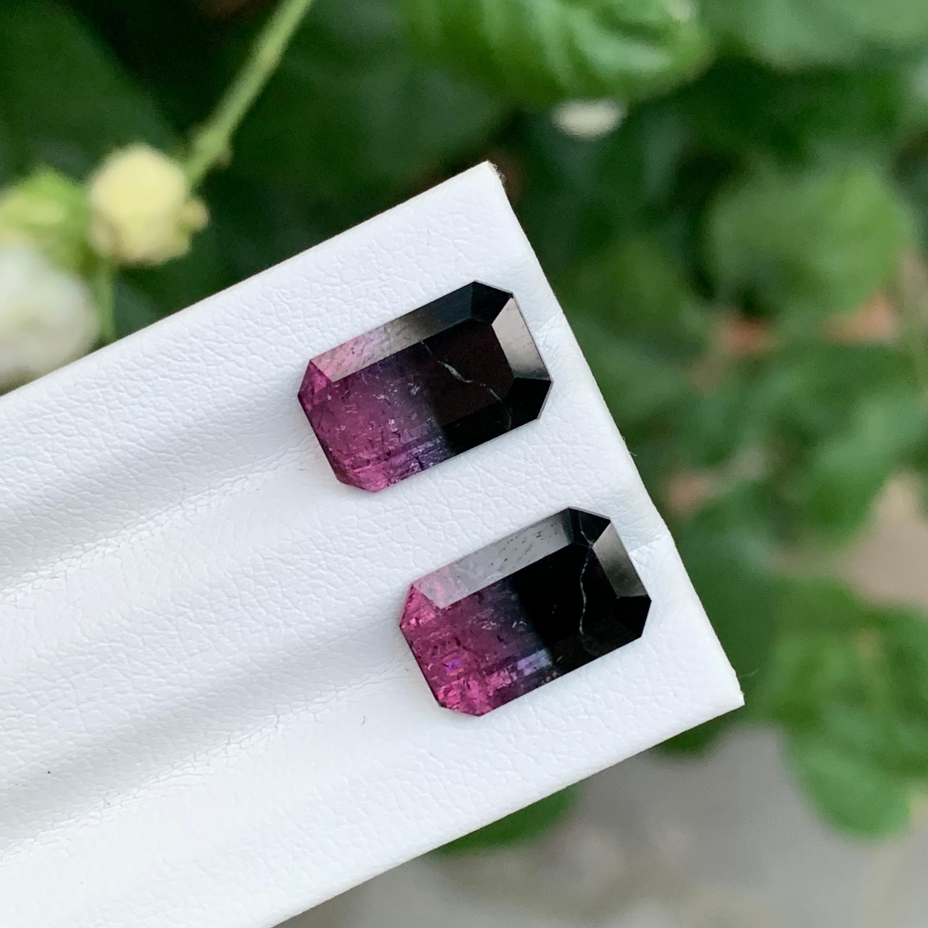 7.05 Carat Natural Loose Bicolour Tourmaline Pair Emerald Shape Gem en vente 1