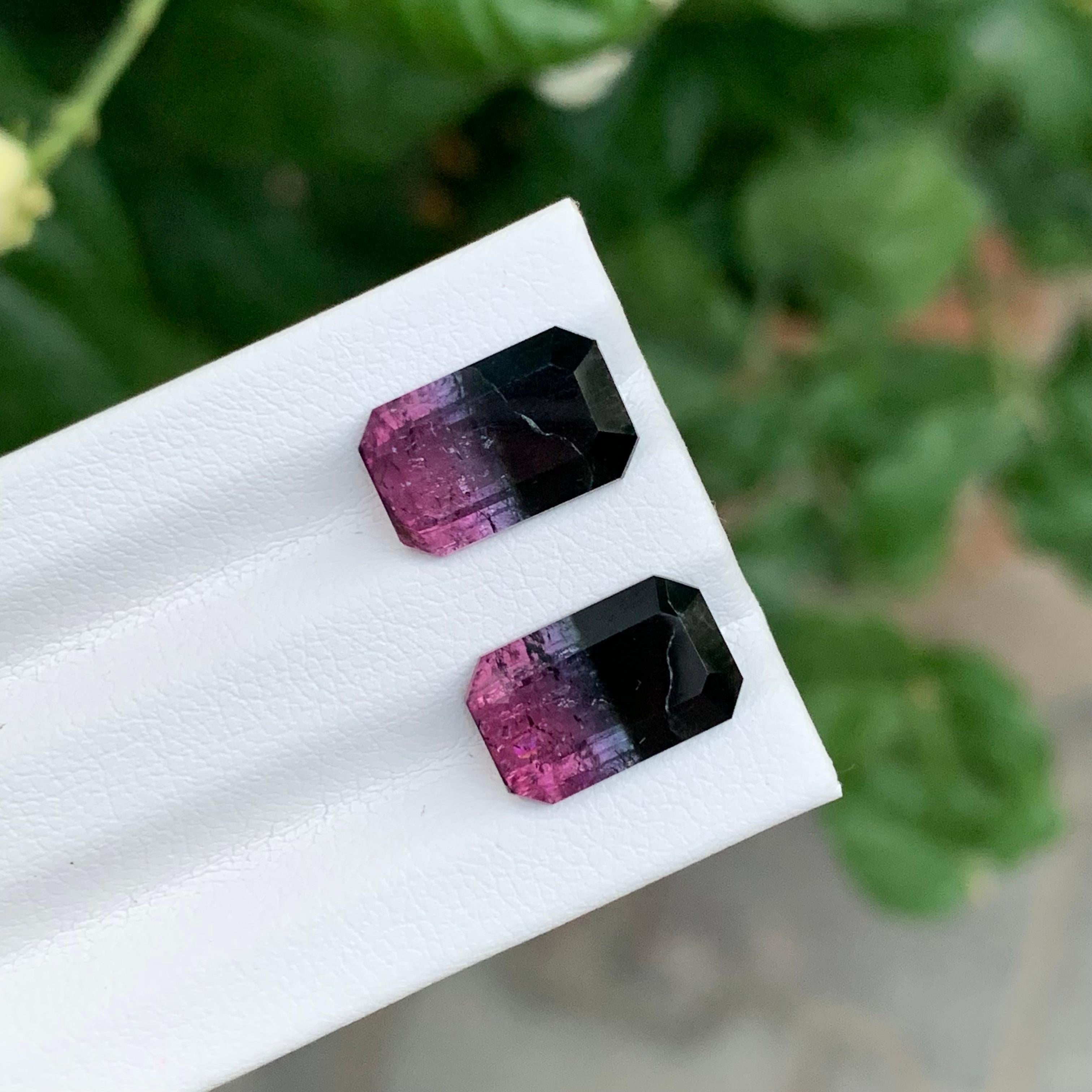 7.05 Carat Natural Loose Bicolour Tourmaline Pair Emerald Shape Gem en vente 3