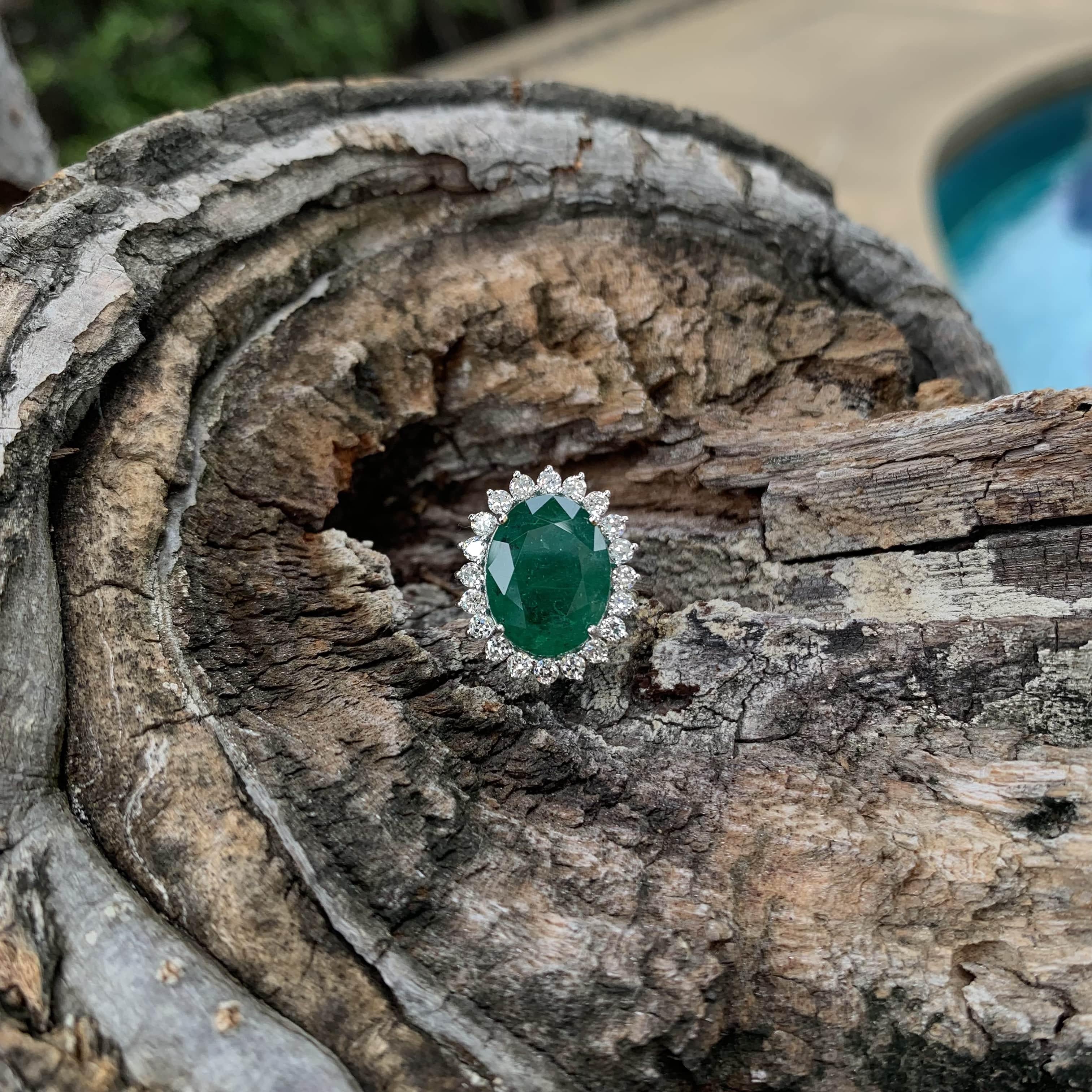 Presenting an extraordinary gemstone ring that radiates beauty and charm, behold the exquisite Oval Shaped Emerald Ring. This remarkable piece showcases a 7.11 Carat emerald as its centerpiece, encircled by a captivating halo design, exuding a sense