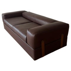 711 divano letto di Tito Agnoli per Ciniva, Italia, anni 60