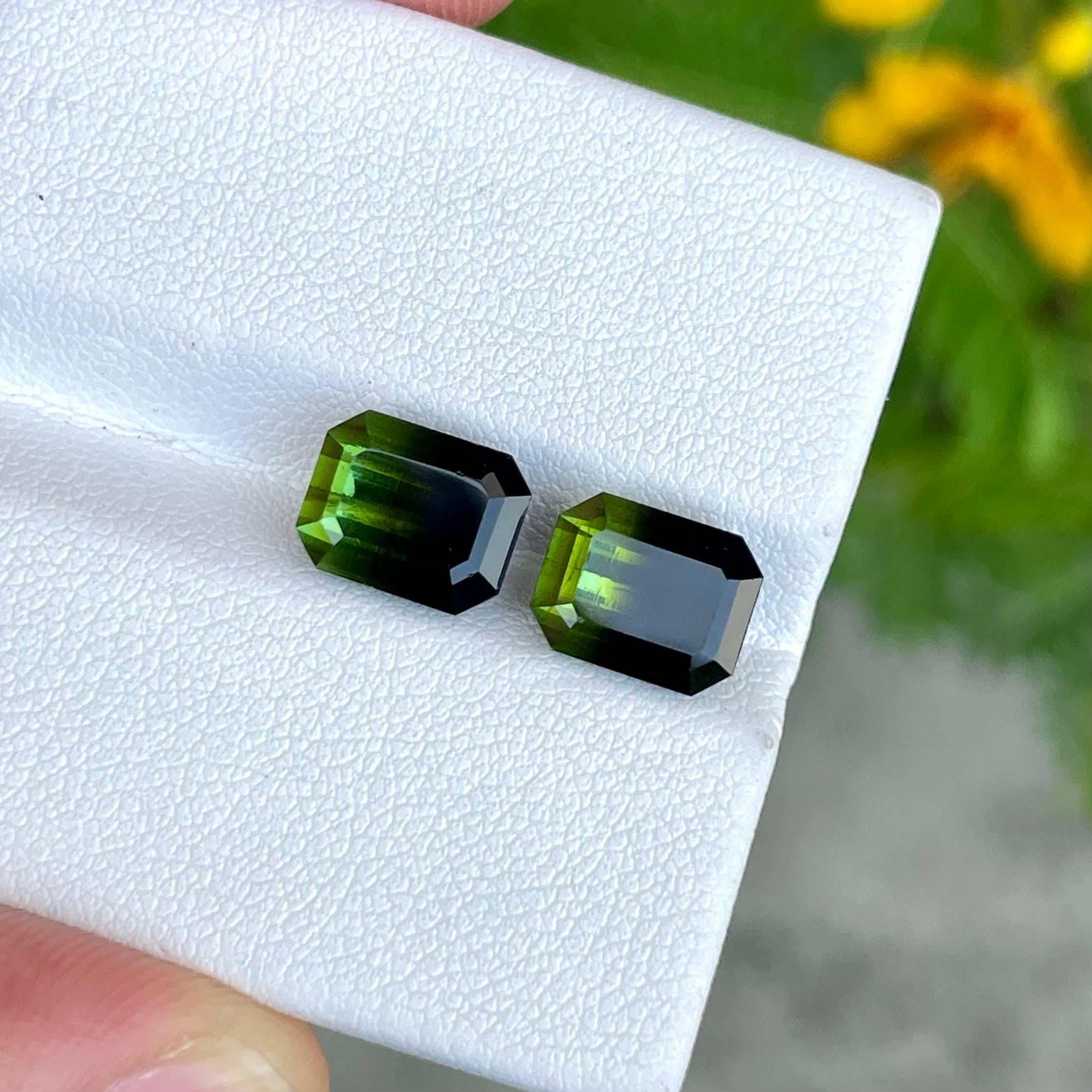 7.13 carats
Dim 8.9x7.05x6.35 mm
8.9x7.05x6.2 mm
Treatment None
Clarity Clean
Origin Pakistan
Shape Octagon
Cut Emerald




The Bi color Stak Nala Tourmaline Pair is an exquisite gemstone, boasting a remarkable weight of 7.13 carats. Mined from the