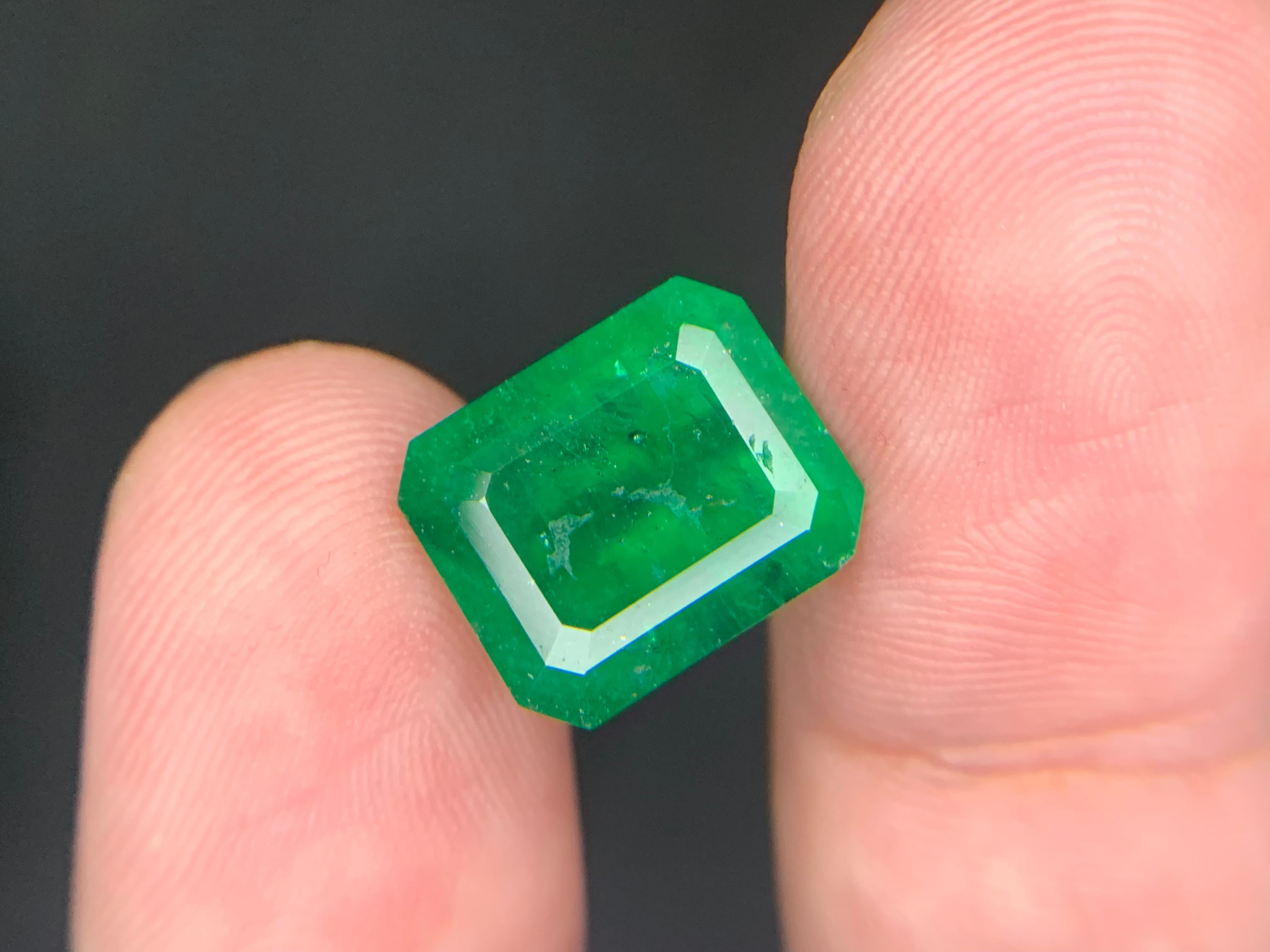 Gemma di smeraldo naturale sciolta da 7.15 carati proveniente da Swat, Pakistan in vendita 5