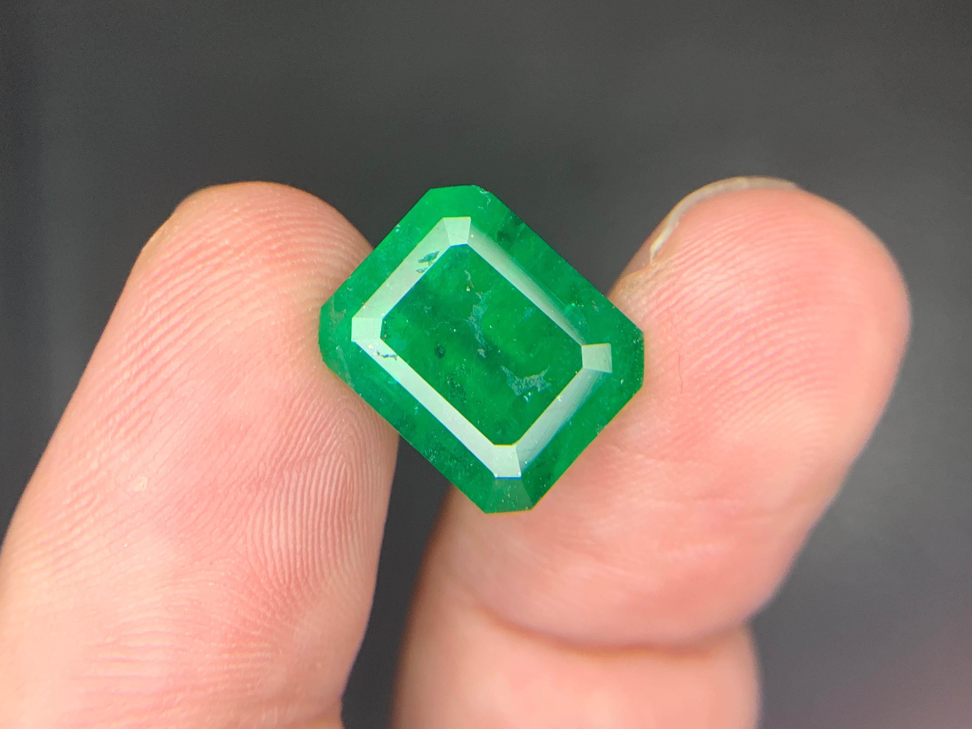 Gemma di smeraldo naturale sciolta da 7.15 carati proveniente da Swat, Pakistan in vendita 7