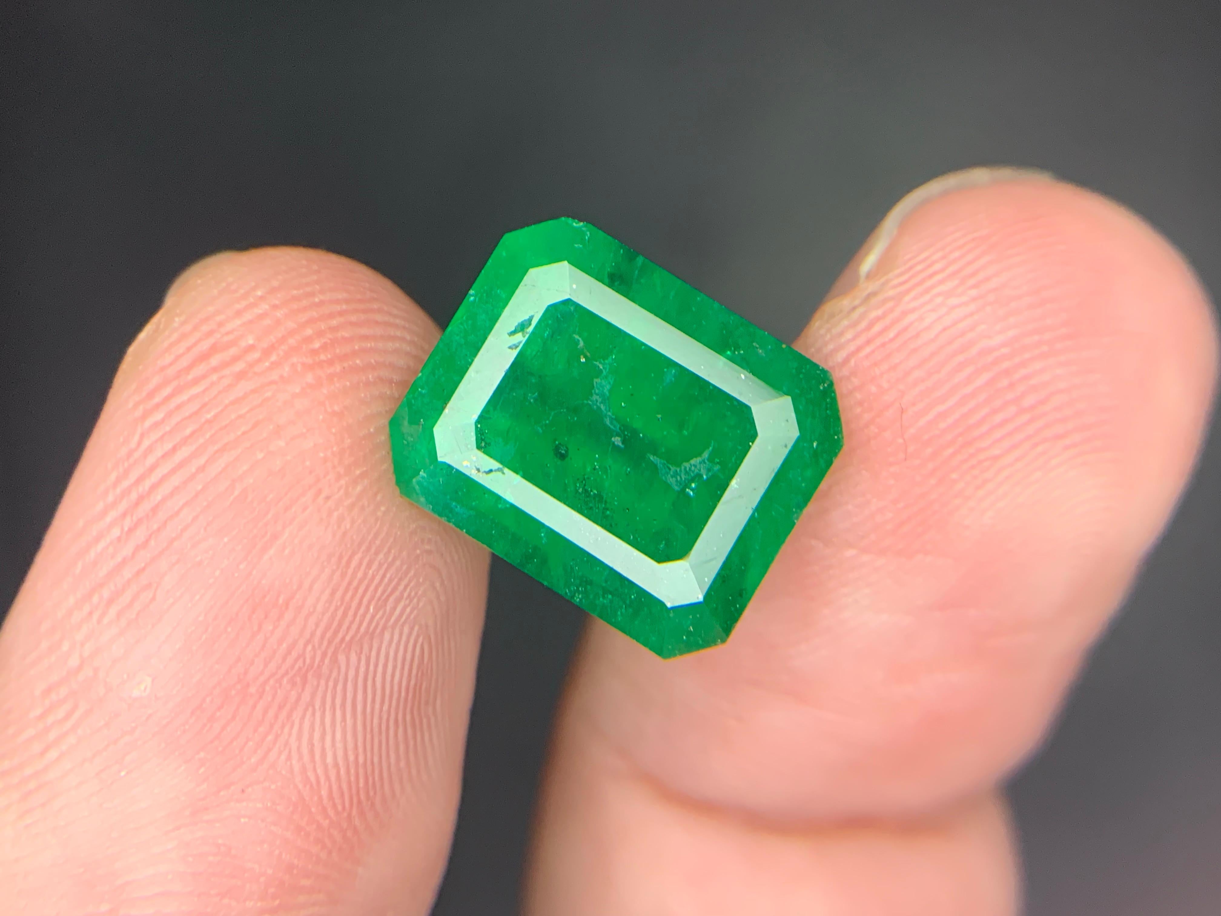 Gemma di smeraldo naturale sciolta da 7.15 carati proveniente da Swat, Pakistan in vendita 8