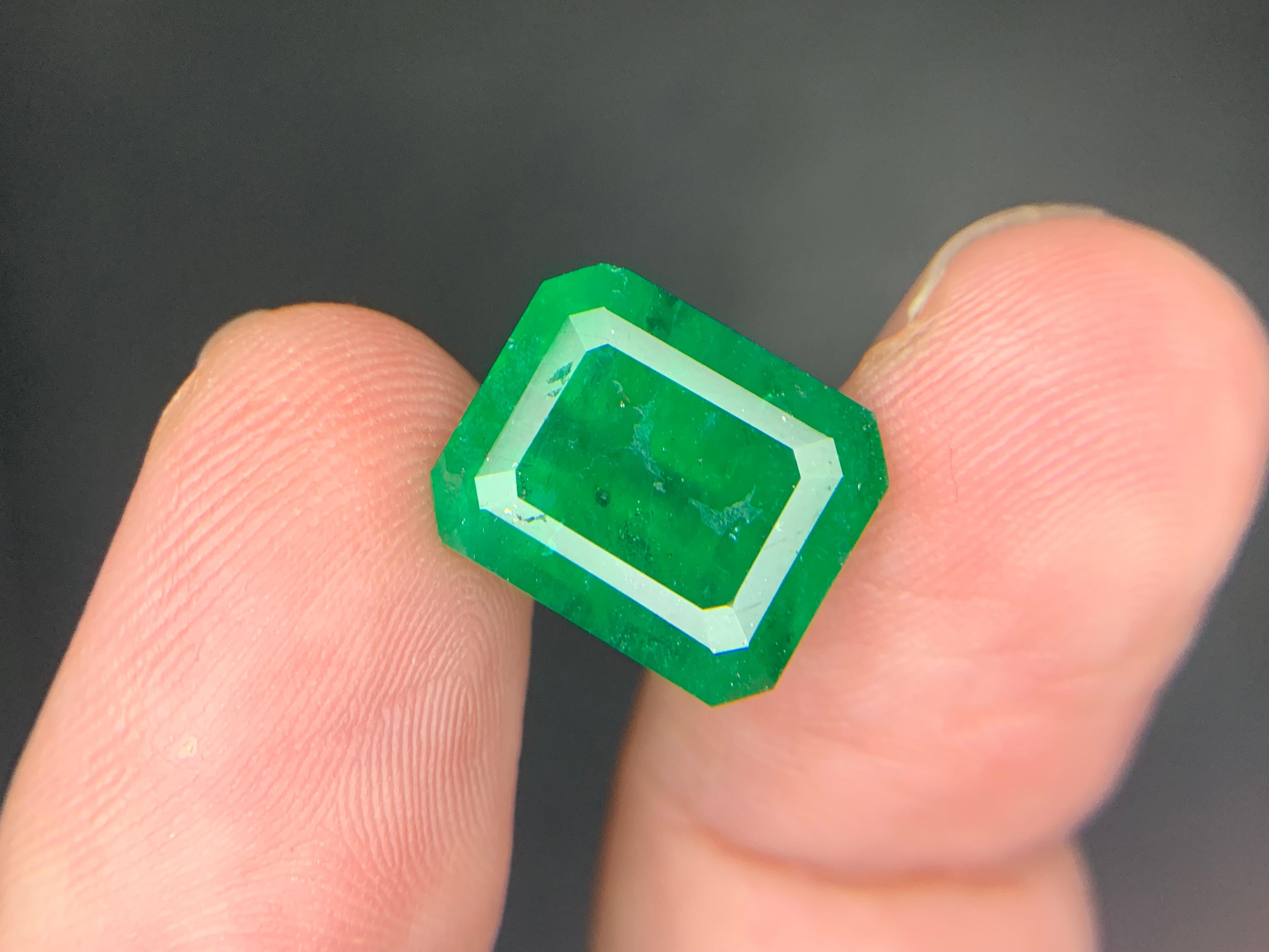 Gemma di smeraldo naturale sciolta da 7.15 carati proveniente da Swat, Pakistan in vendita 9