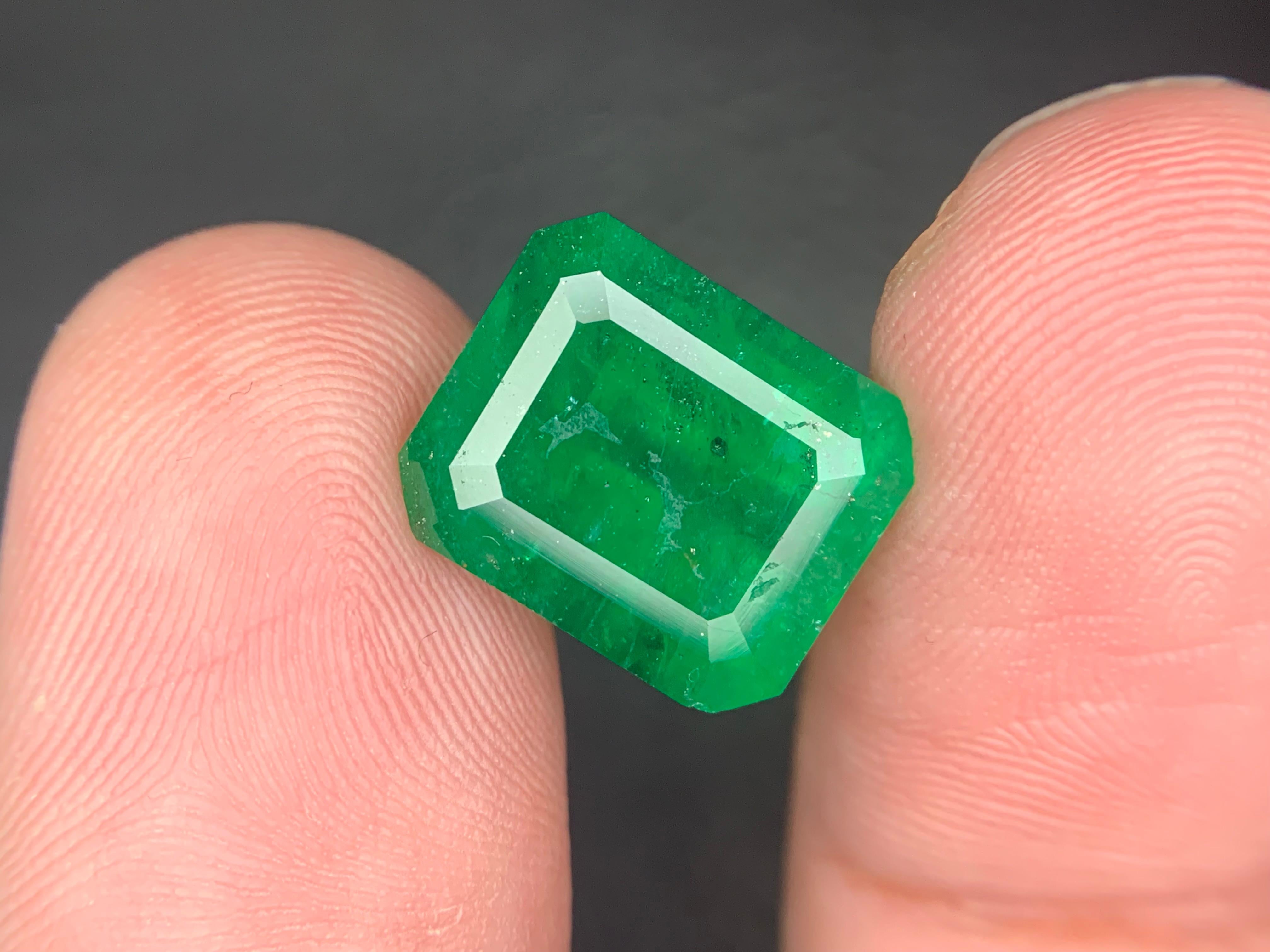 da uomo o donna Gemma di smeraldo naturale sciolta da 7.15 carati proveniente da Swat, Pakistan in vendita