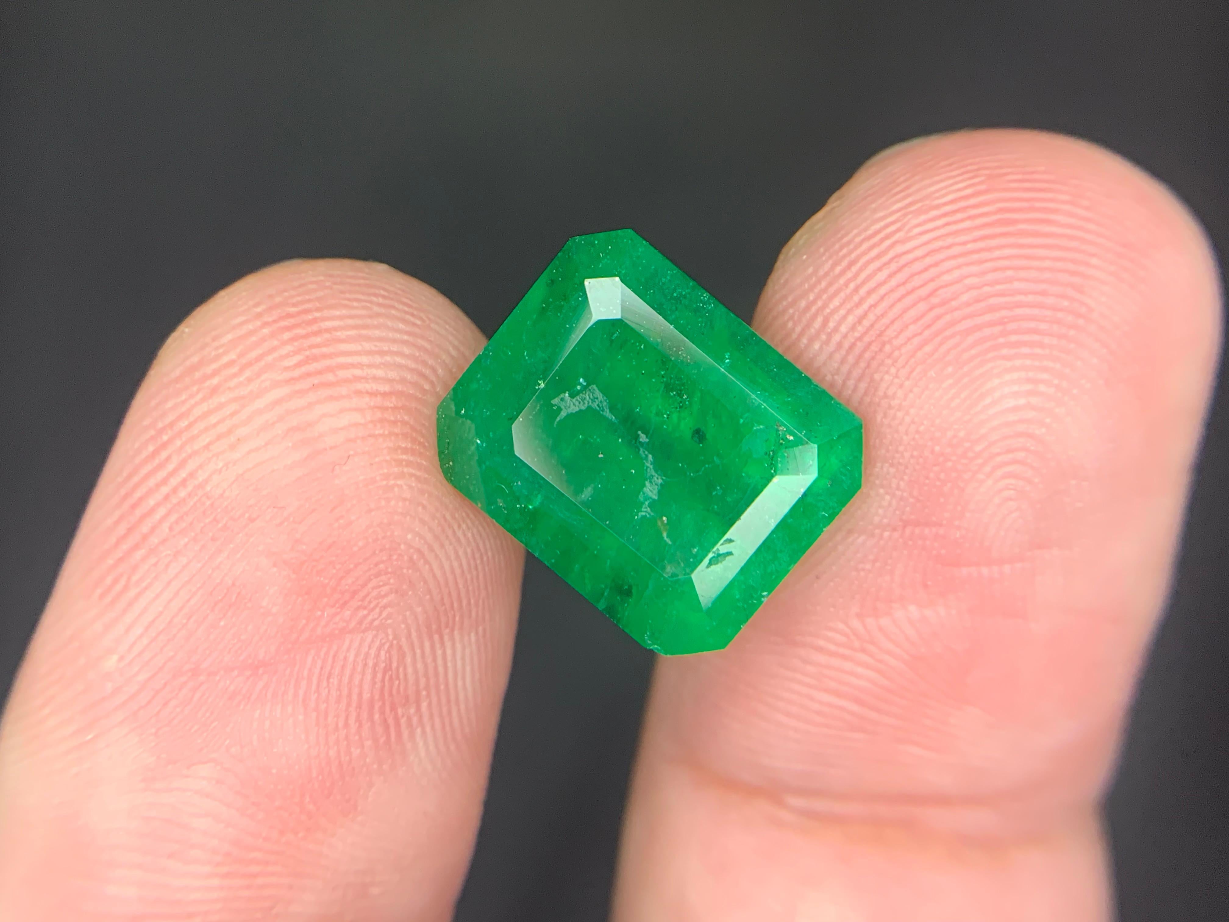 Gemma di smeraldo naturale sciolta da 7.15 carati proveniente da Swat, Pakistan in vendita 2