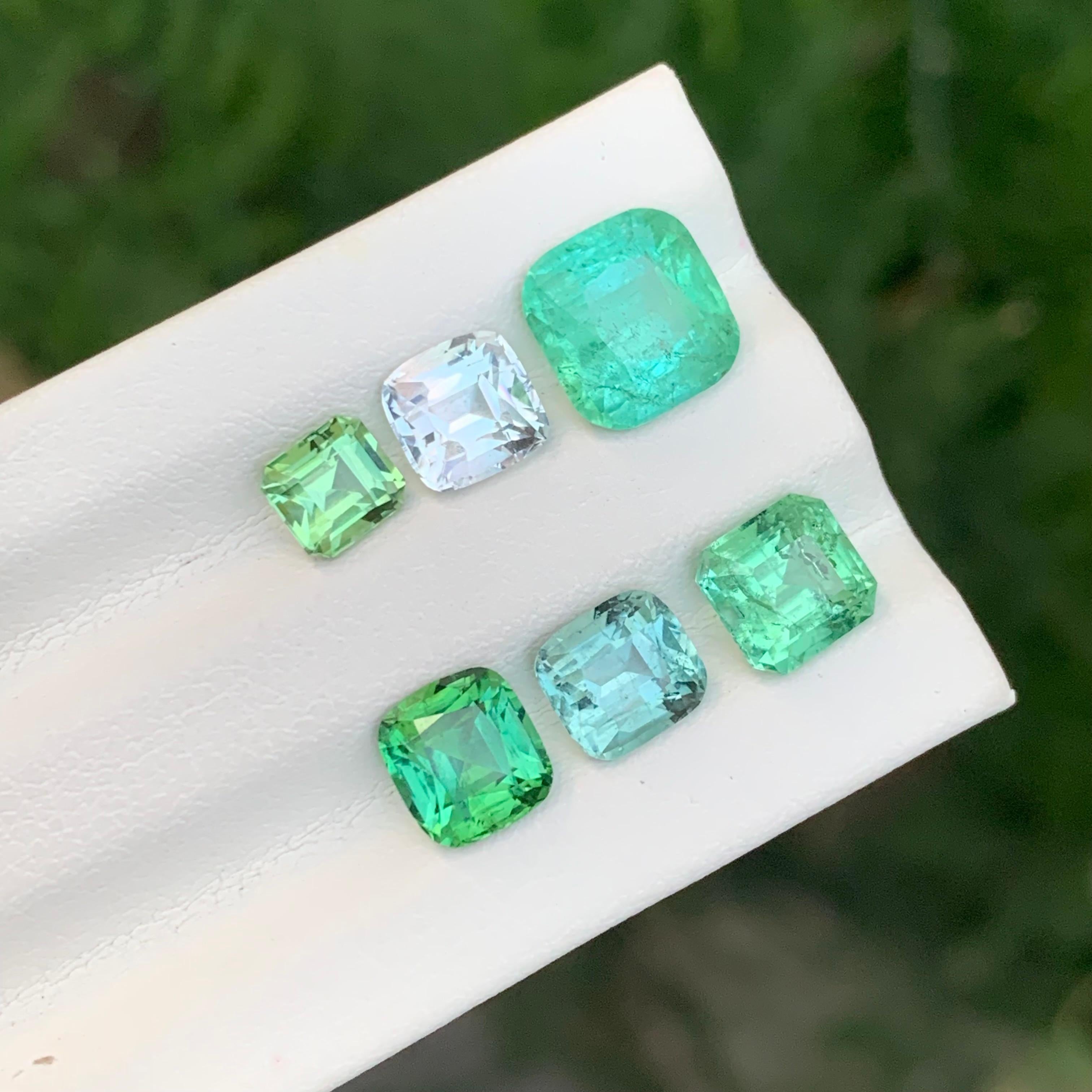 Faceted Tourmaline Lot

Weight: 7.15 Carat
Sizes: 0.55 To 2.15 Carat
Treatment: Non
Certificate: On Customer Demand
Shape: Mix Shapes


Tourmaline is a captivating gemstone known for its remarkable variety of colors, making it a favorite among