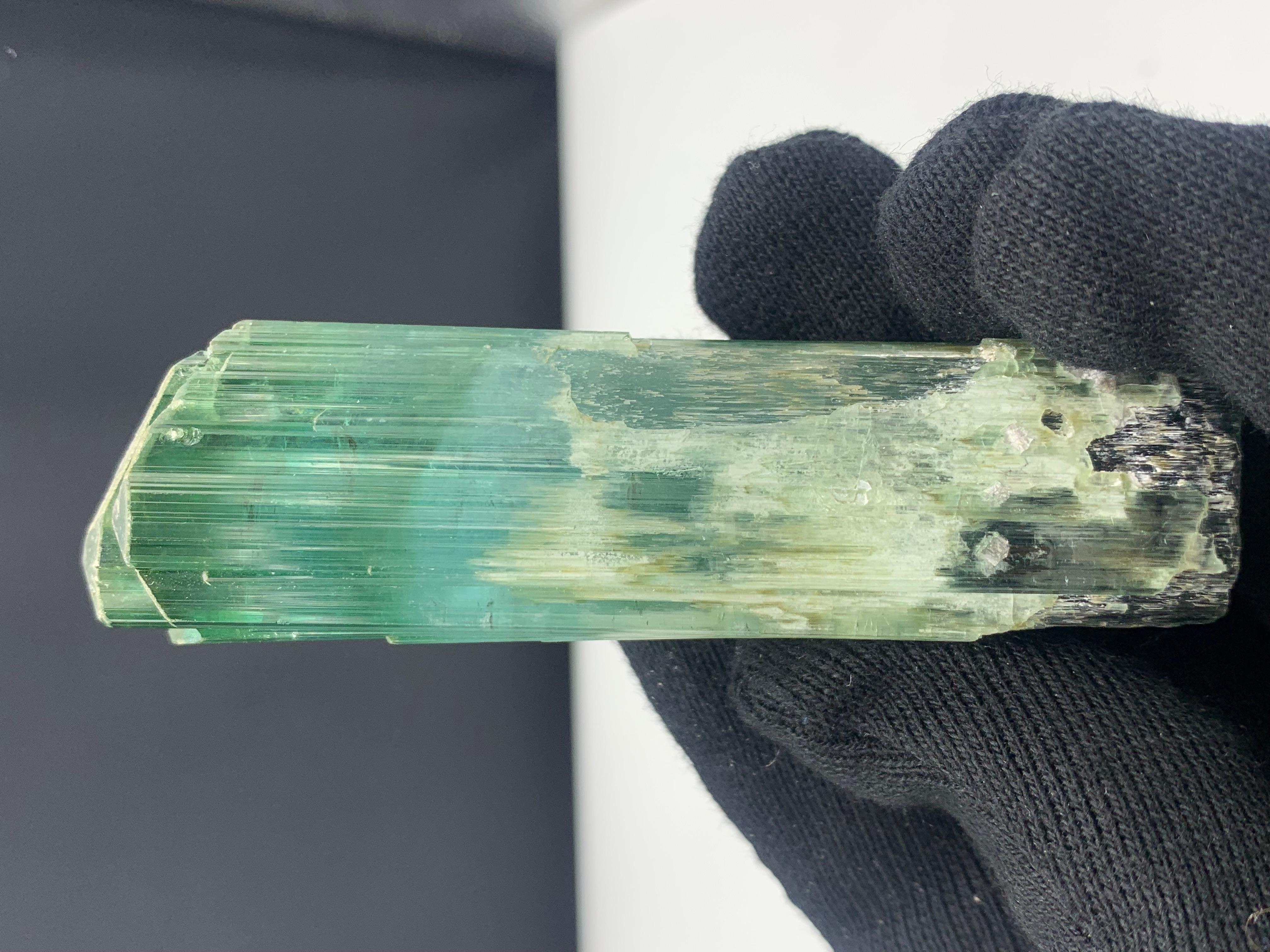 71.56 grammi di splendido cristallo di tormalina tricolore dall'Afghanistan in vendita 2