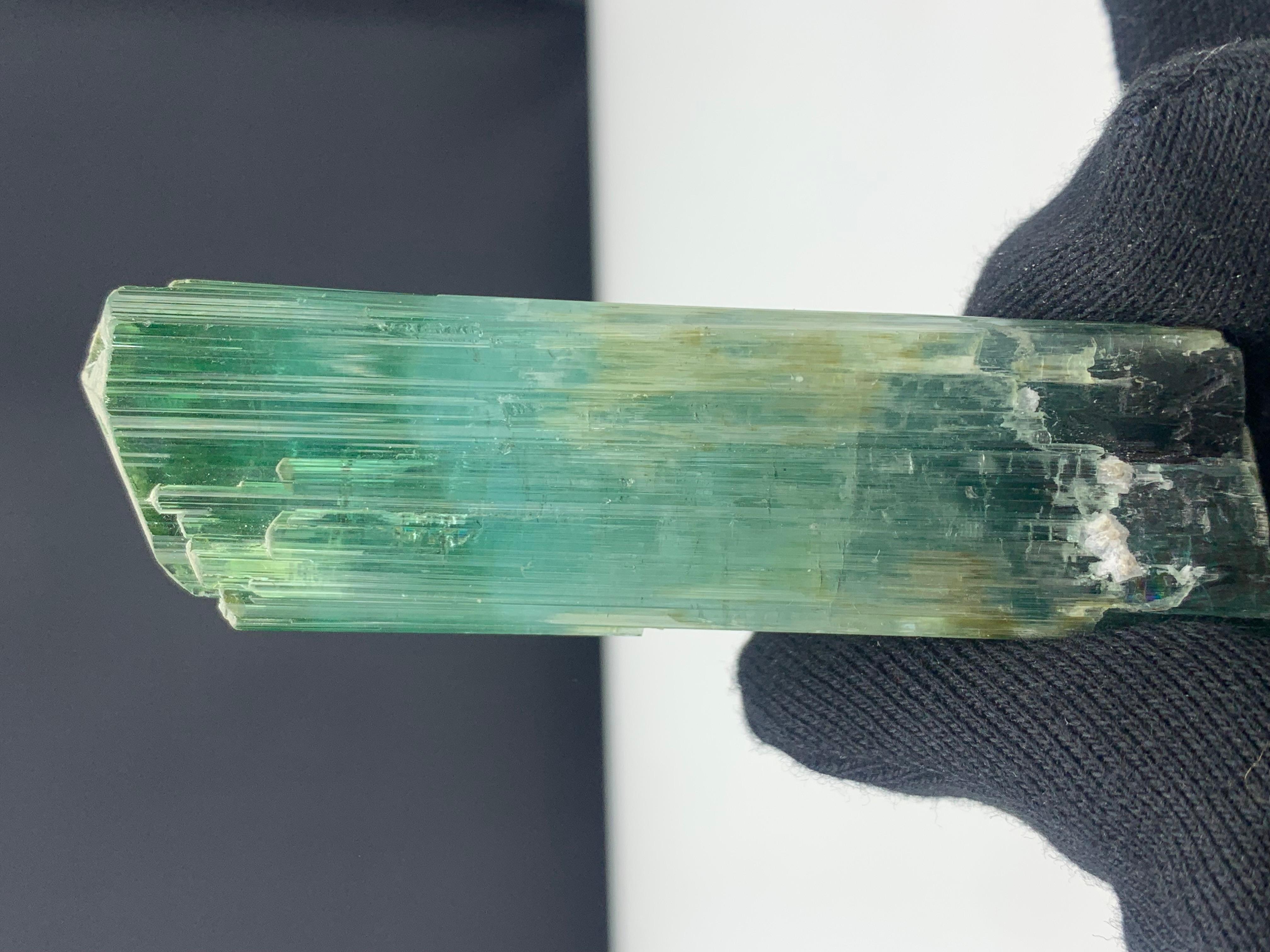 71.56 grammi di splendido cristallo di tormalina tricolore dall'Afghanistan in vendita 3
