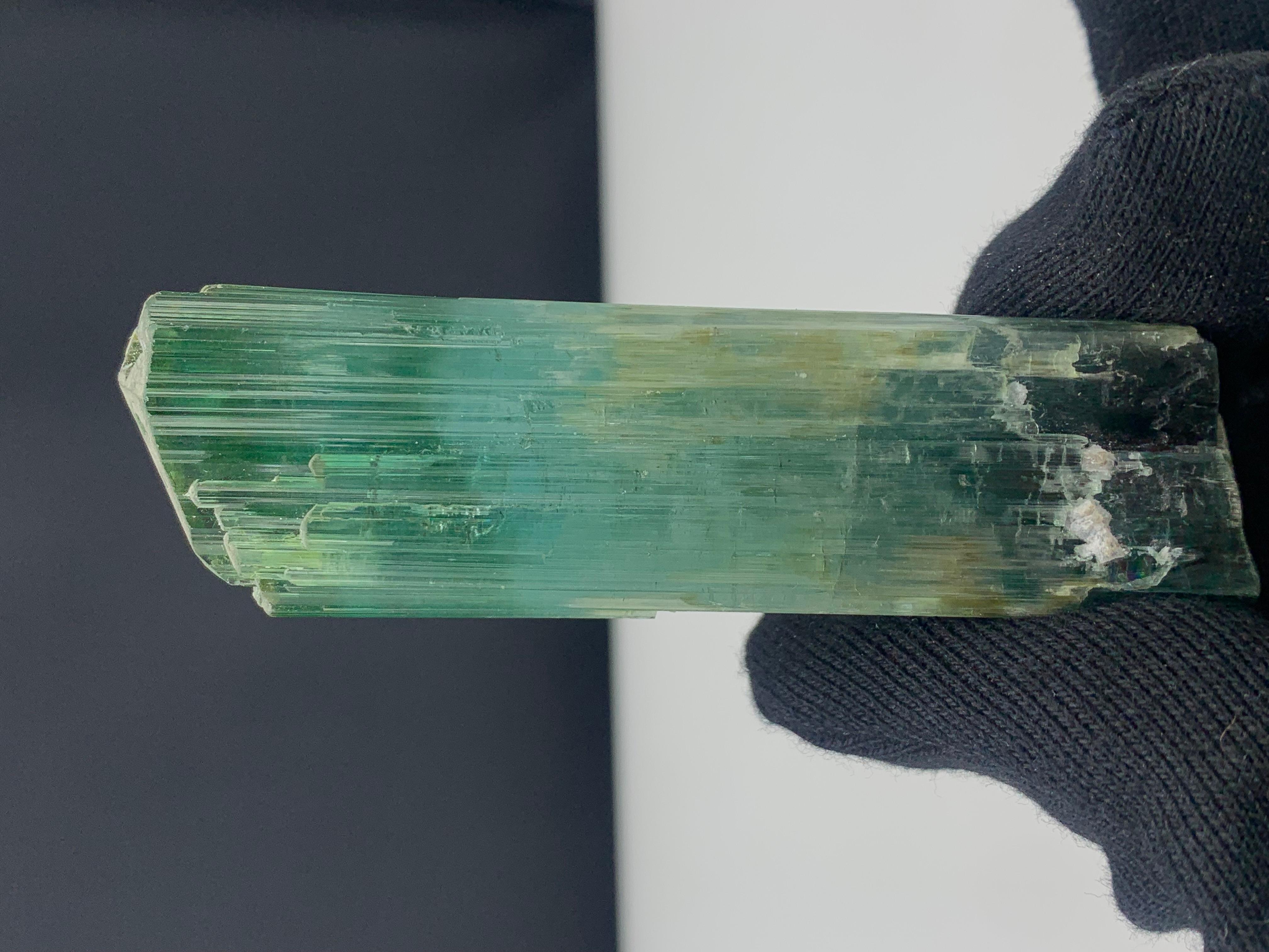 Splendido cristallo di tormalina tricolore proveniente dall'Afghanistan 
PESO: 71,56 grammi
DIMENSIONI: 8,7 x 2,5 x 1,8 cm
ORIGINE: Afghanistan
COLORE: Verde, schiuma di mare e nero 
TRATTAMENTO: Nessuno

La tormalina è una gemma estremamente