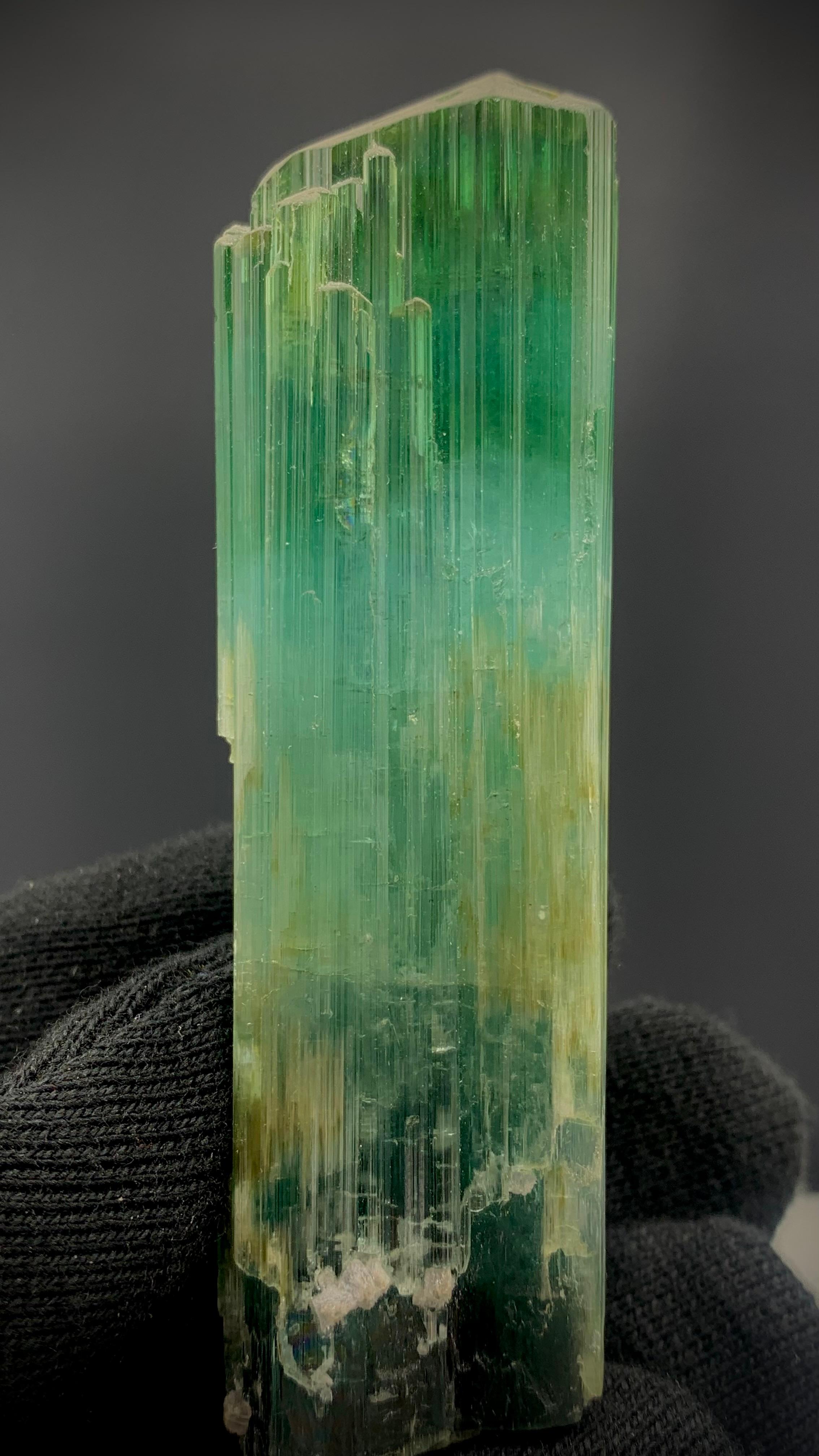 Stile Adam 71.56 grammi di splendido cristallo di tormalina tricolore dall'Afghanistan in vendita