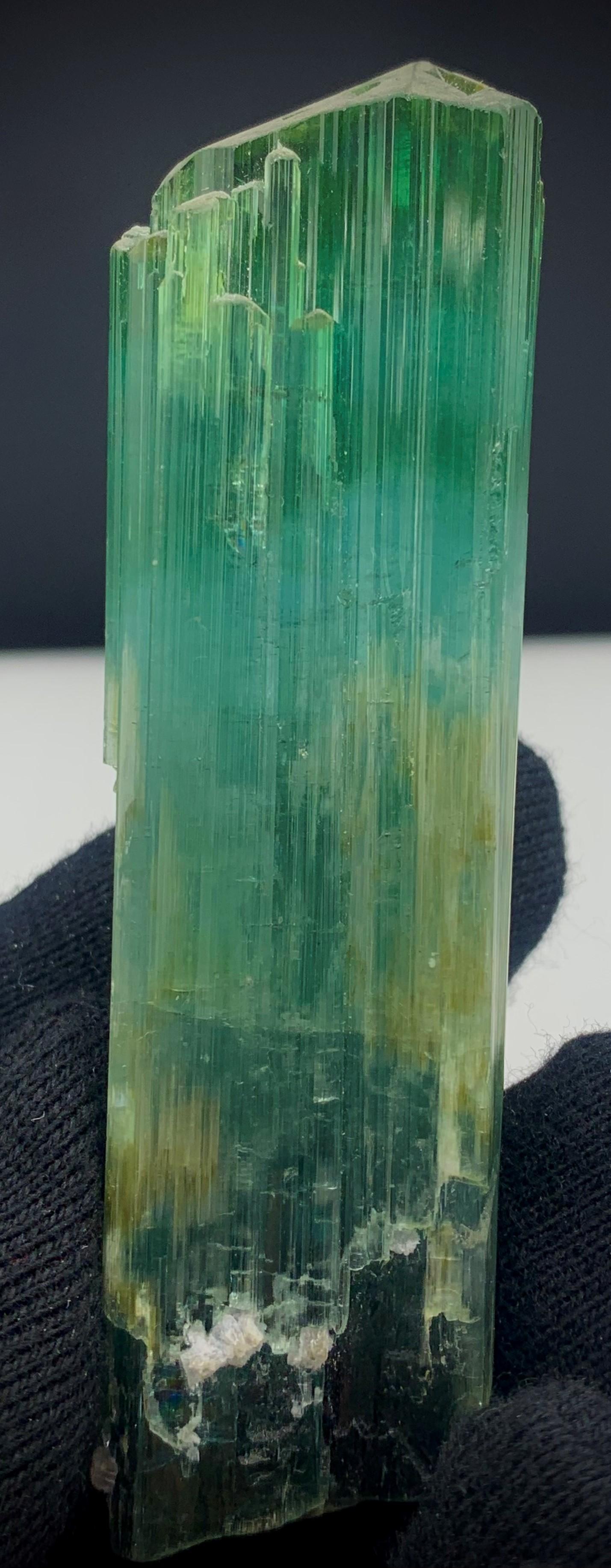 Afghano 71.56 grammi di splendido cristallo di tormalina tricolore dall'Afghanistan in vendita