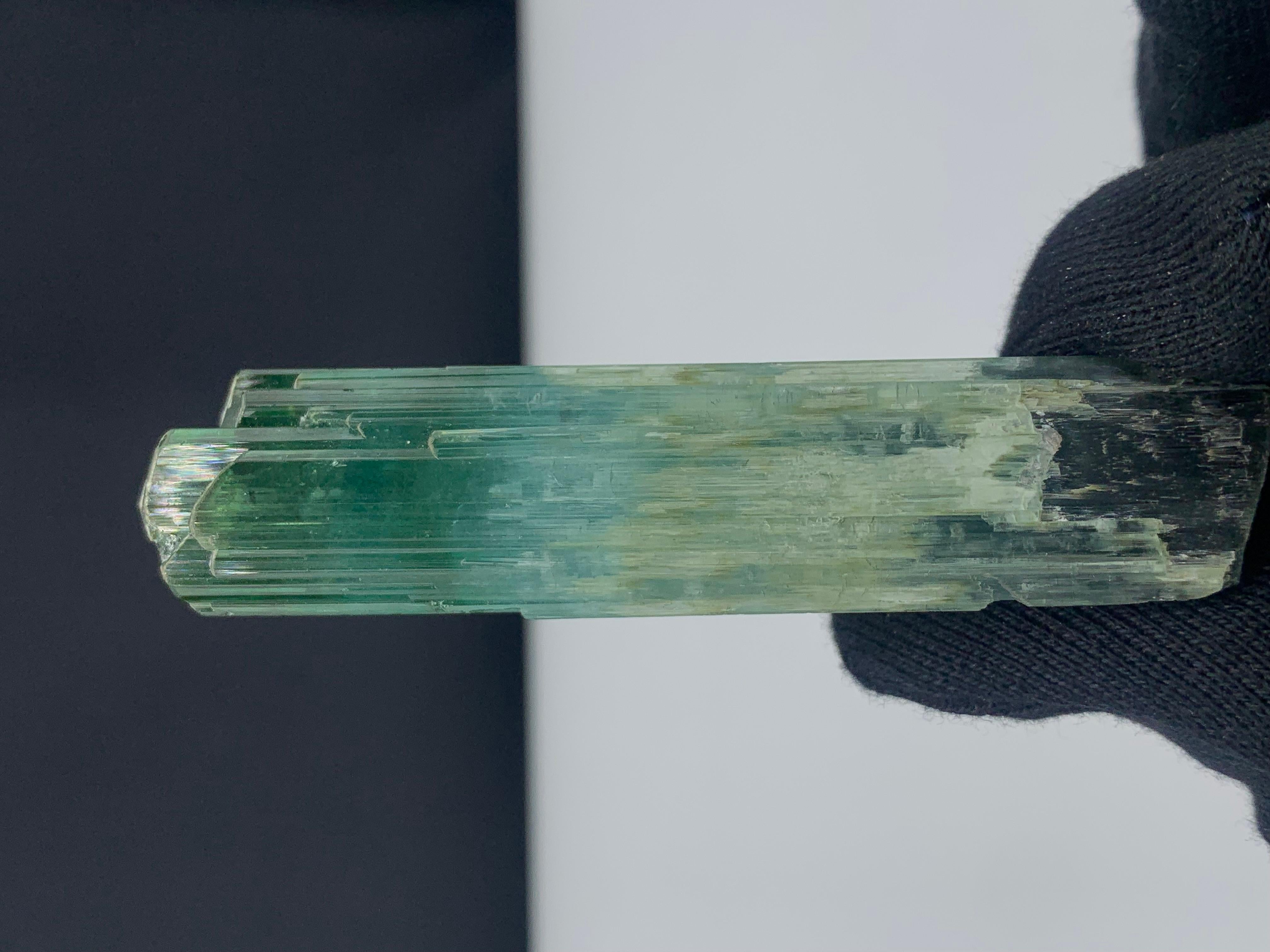 71.56 grammi di splendido cristallo di tormalina tricolore dall'Afghanistan In condizioni buone in vendita a Peshawar, PK