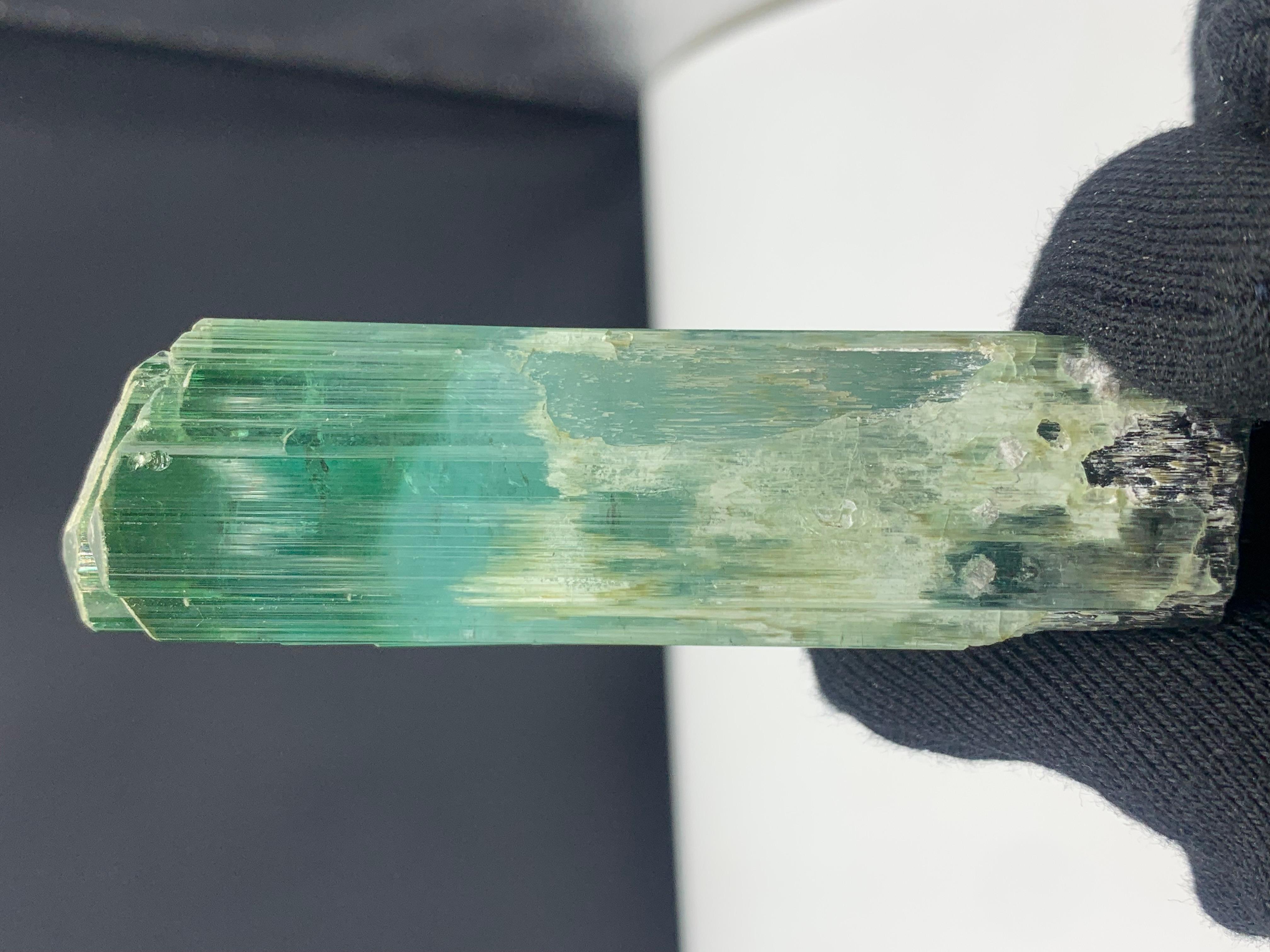 Cristallo di rocca 71.56 grammi di splendido cristallo di tormalina tricolore dall'Afghanistan in vendita