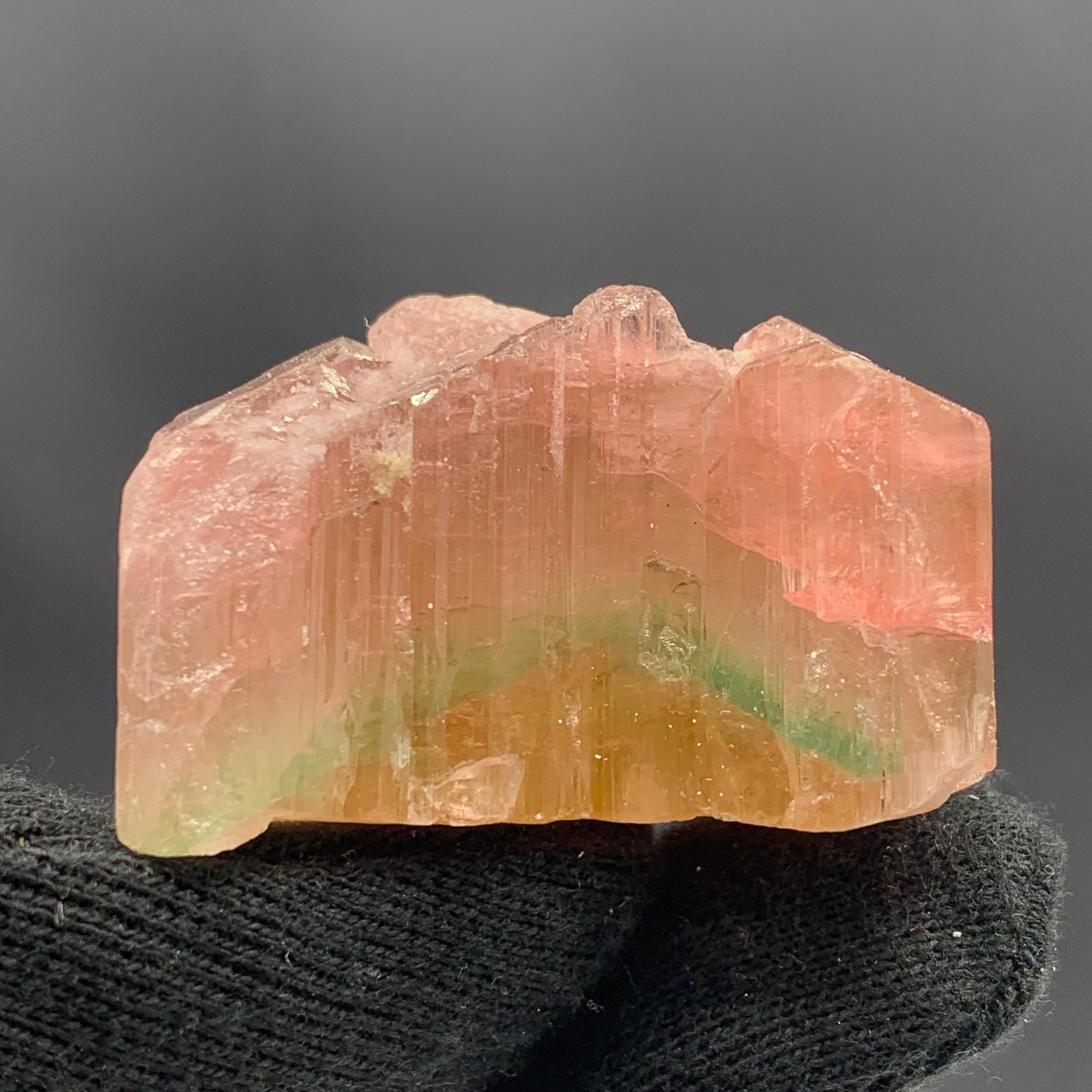 Adam Style 71.95 Gram Beautiful Tri Color Tourmaline Crystal From Paprook Mine Afghanistan  For Sale