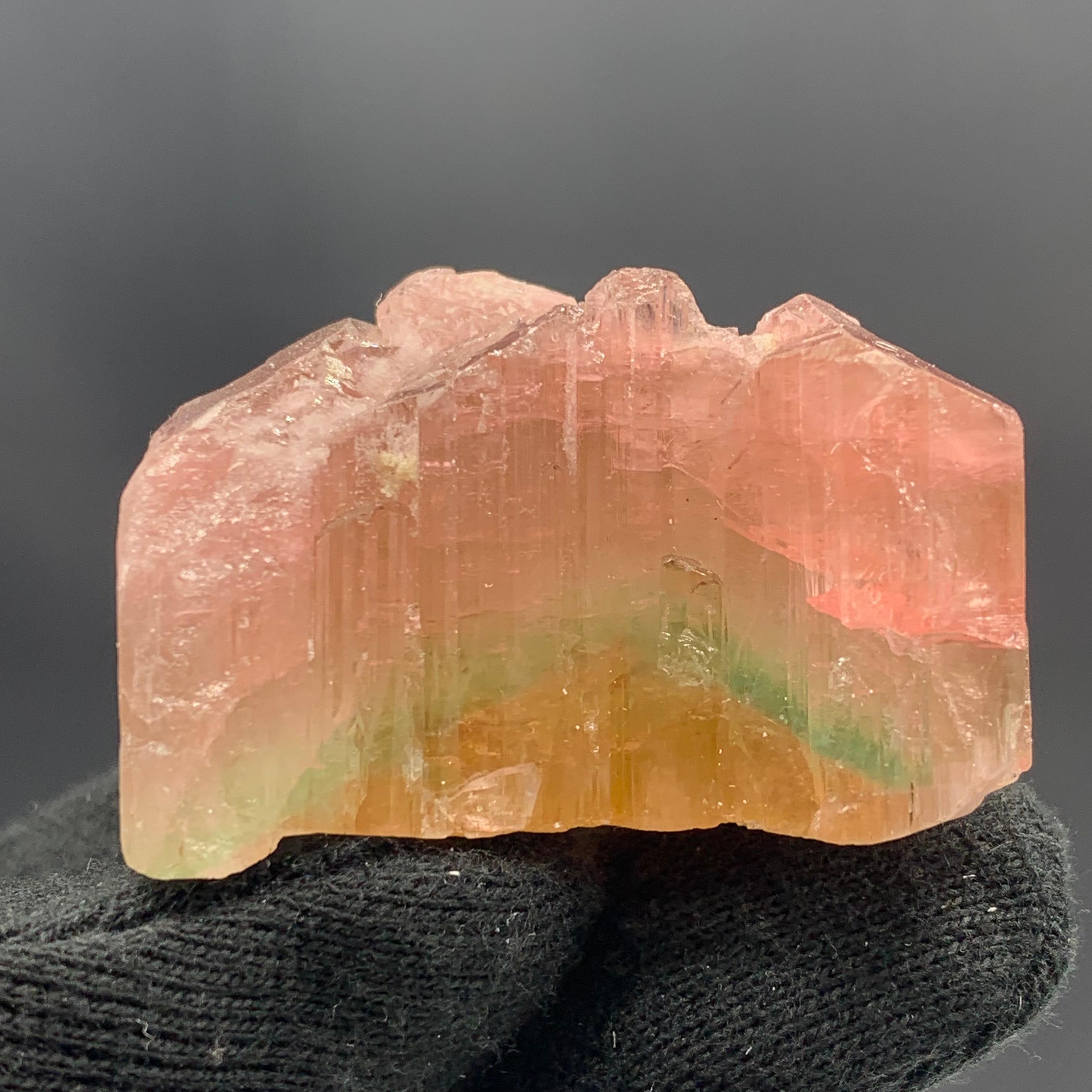 Rock Crystal 71.95 Gram Beautiful Tri Color Tourmaline Crystal From Paprook Mine Afghanistan  For Sale