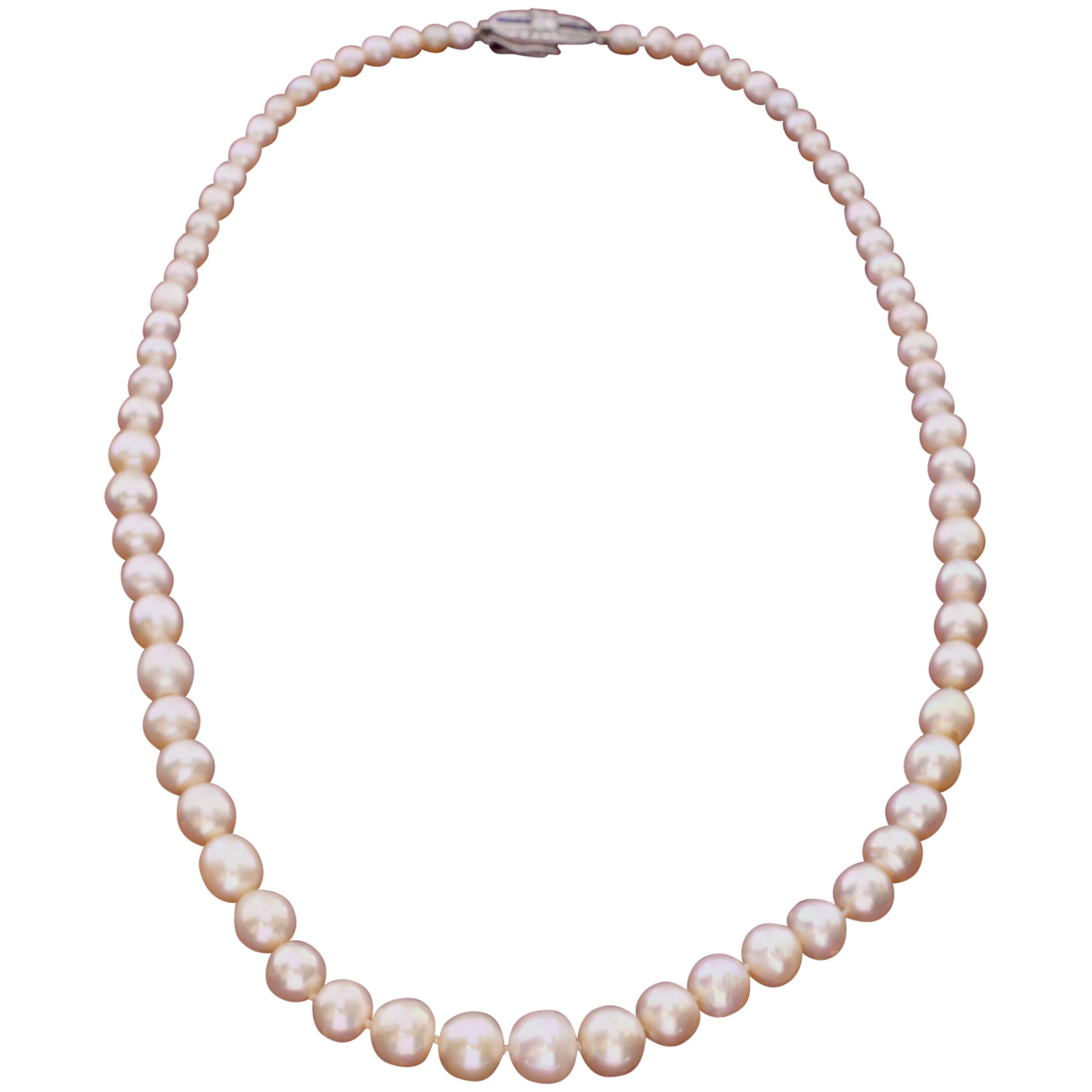 72 Natural Saltwater Pearls on a Silk Strand For Sale
