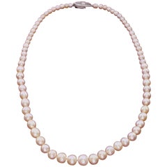 72 Natural Saltwater Pearls on a Silk Strand