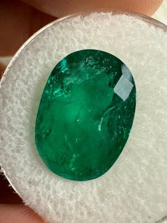7.22 Carat Vivid Muzo Green Colombian Emerald Oval Cut - May Birthstone Gem