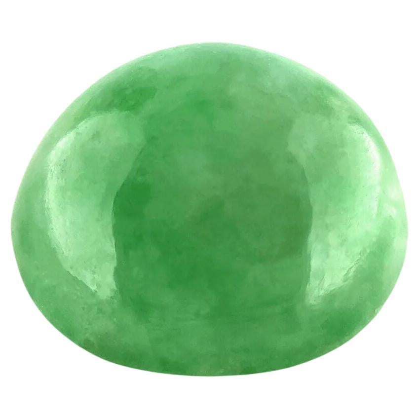 7.30ct Rare Jadeite Jade IGI Certified ‘A’ Grade Green Oval Cabochon Blister Gem For Sale