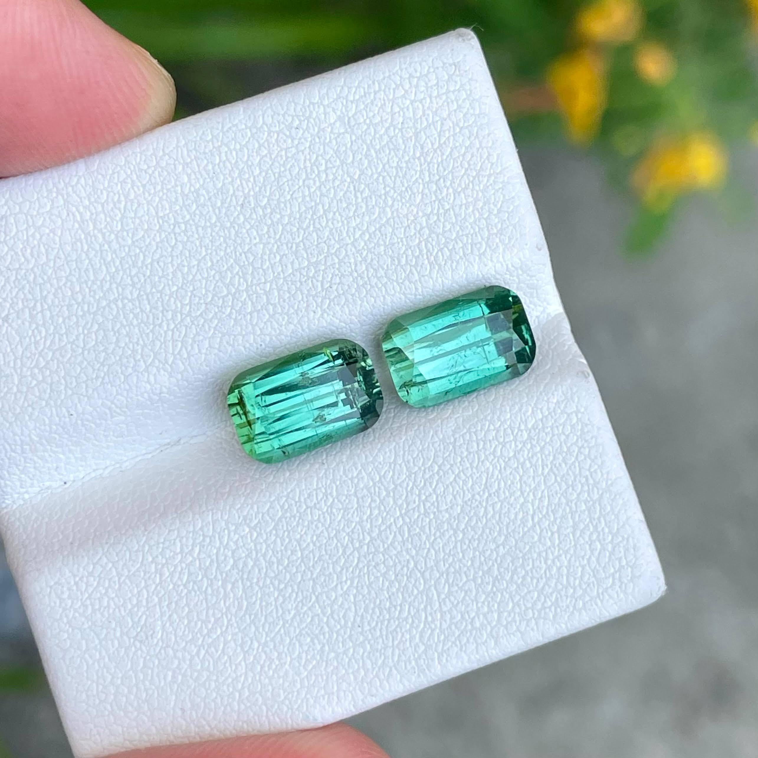 Weight 7.31 carats
Dimensions 10.1x6.6x6.0 mm
Treatment none 
Clarity SI
Origin Afghanistan 
Shape cushion 
Cut fancy cushion 




This exquisite pair of greenish-blue tourmalines boasts a total weight of 7.31 carats, showcasing the captivating