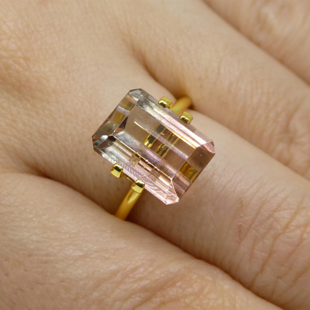 Description:

Gem Type: Bi-Colour Tourmaline
Number of Stones: 1
Weight: 7.34 cts
Measurements: 12.32 x 9.00 x 7.10 mm
Shape: Emerald Cut
Cutting Style Crown: Step Cut
Cutting Style Pavilion: Step Cut
Transparency: Transparent
Clarity: Very Very
