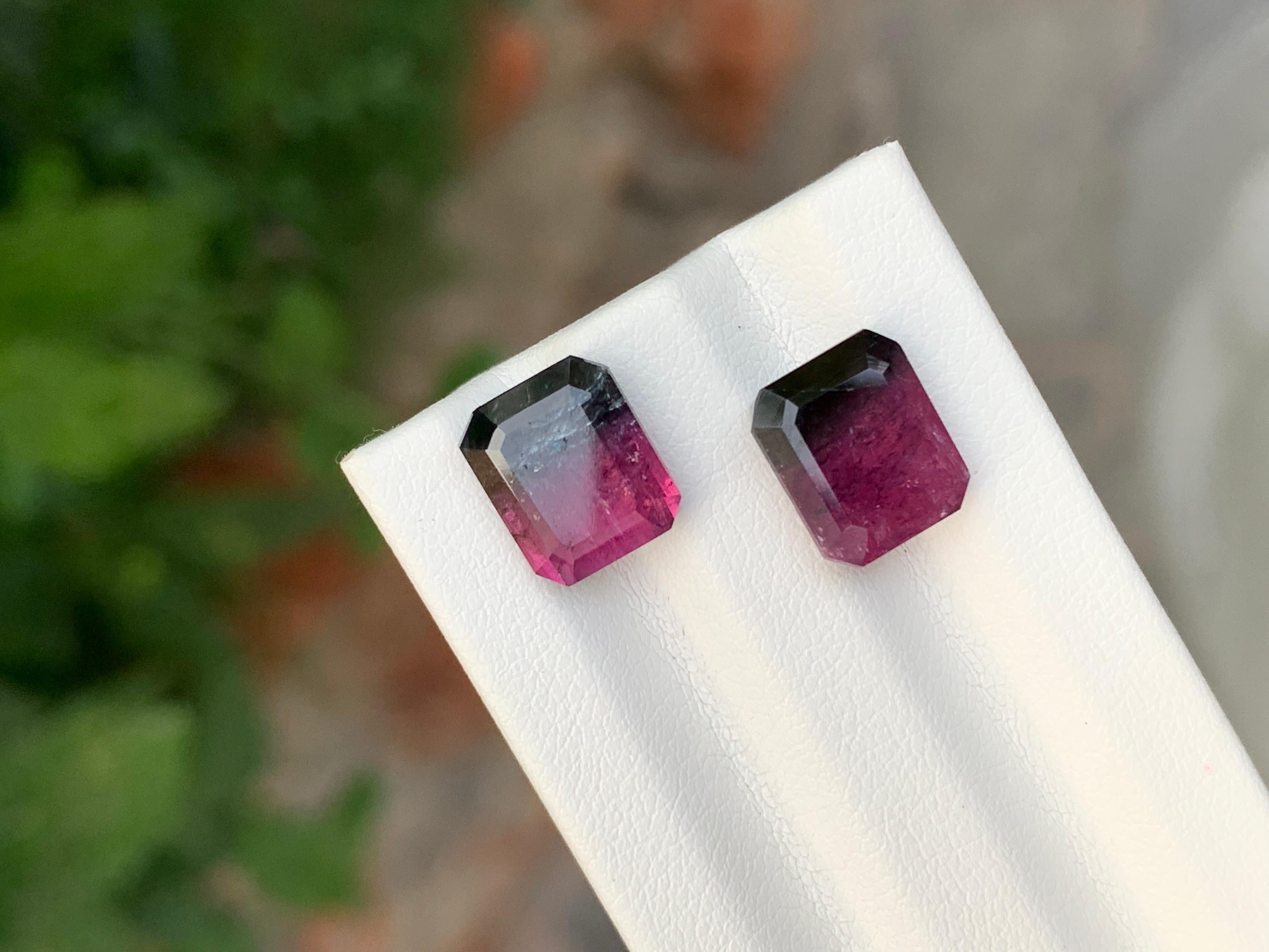 Faceted Bi Colour Tourmaline

Weight: 7.35 Carat
Sizes: 3.45 And 3.85 Carat 
Dimension: 9.2 x 7.8 x 5.5 Mm And 
                    9.1 x 7.7 x 5 Mm 
Colour: Pink And Black 
Treatment: Non
Certificate: On Customer Demand
Shape: Emerald


Tourmaline