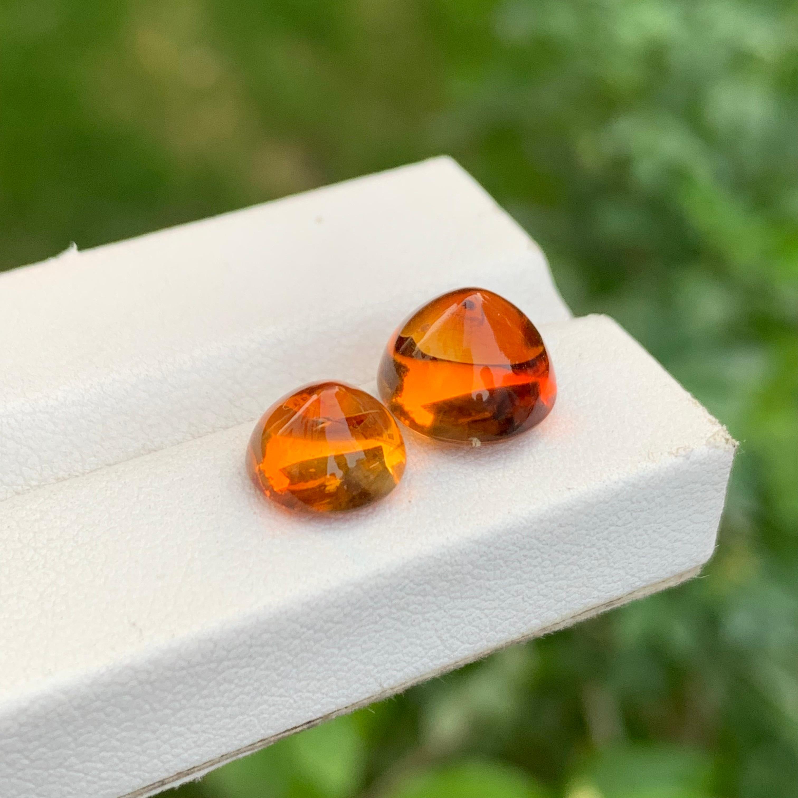 7,40 Karat Lose Dual Sugarloaf Madeira Citrin Cabochon Runde Form Edelstein im Zustand „Neu“ im Angebot in Peshawar, PK