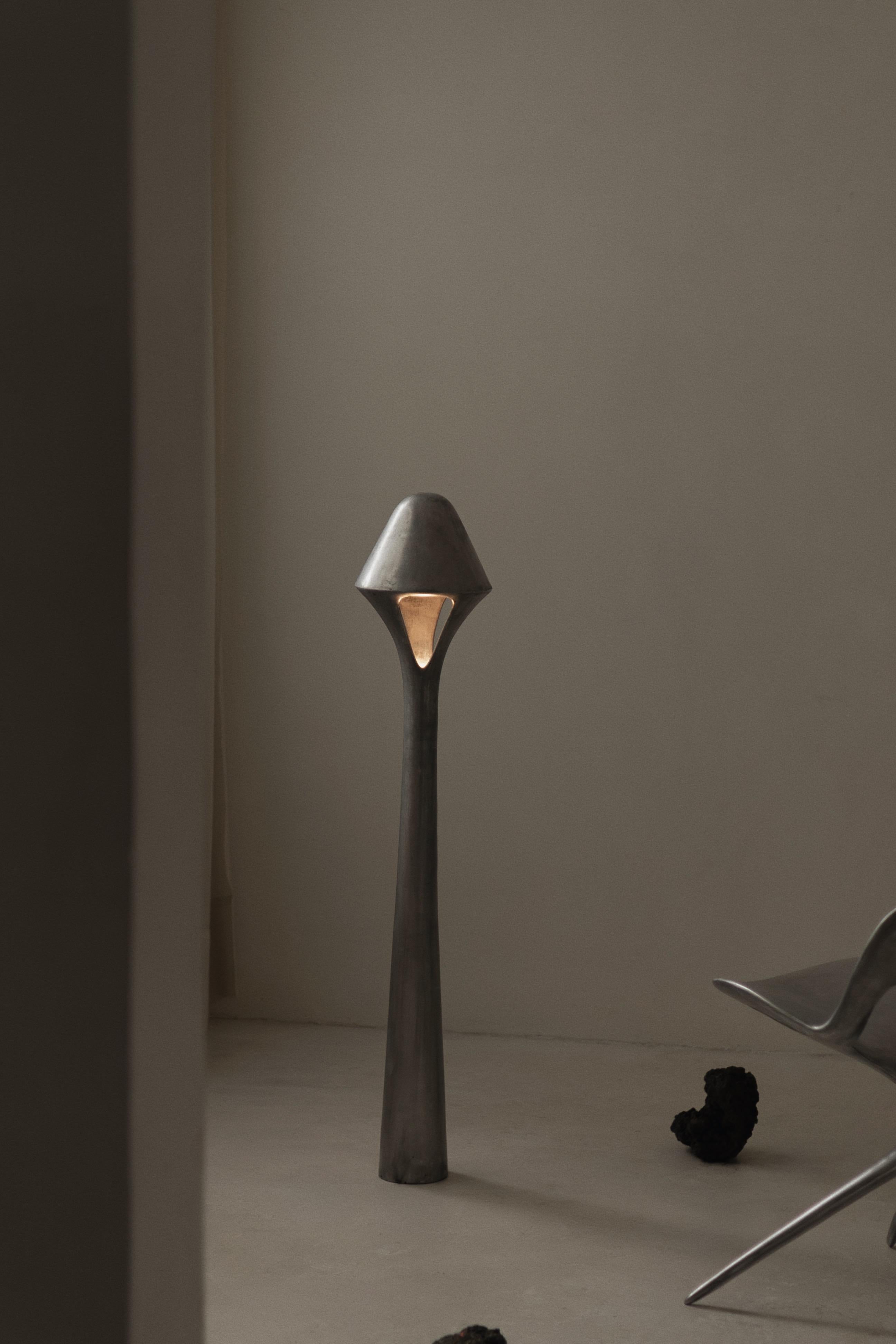 741 HZ / Lamp For Sale 1