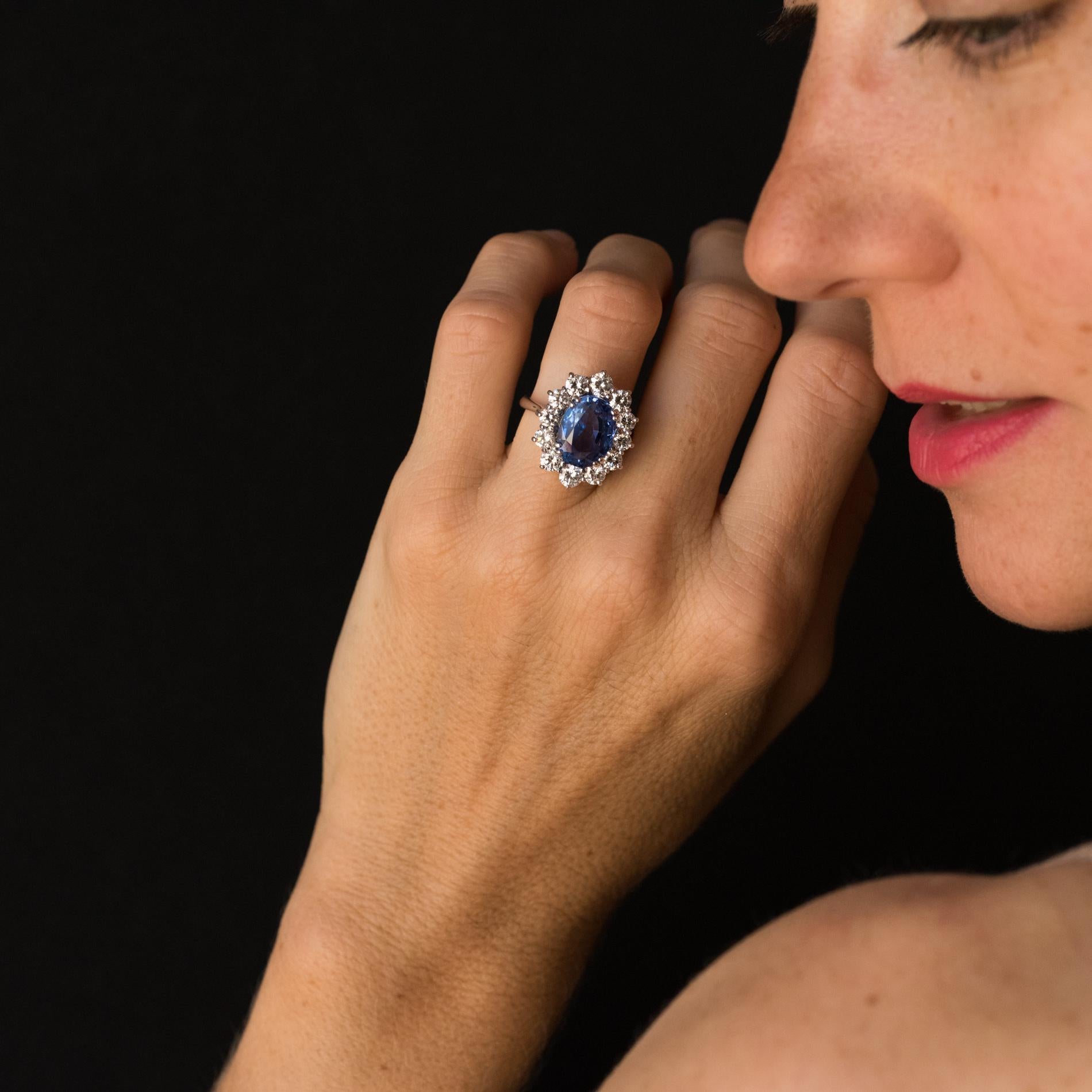 French 1960s No Heat 7.42 Carat Ceylon Sapphire Diamond White Gold Cluster Ring For Sale 3