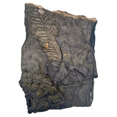 Objets décoratifs