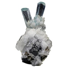 75 Gramm freistehende Aquamarinkristalle auf Albit mit Quarz aus Pakistan
