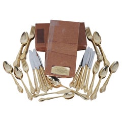 75 Pc Supreme Vermai Raquel 23k Gold Plated Flatware Service for 12 Japan