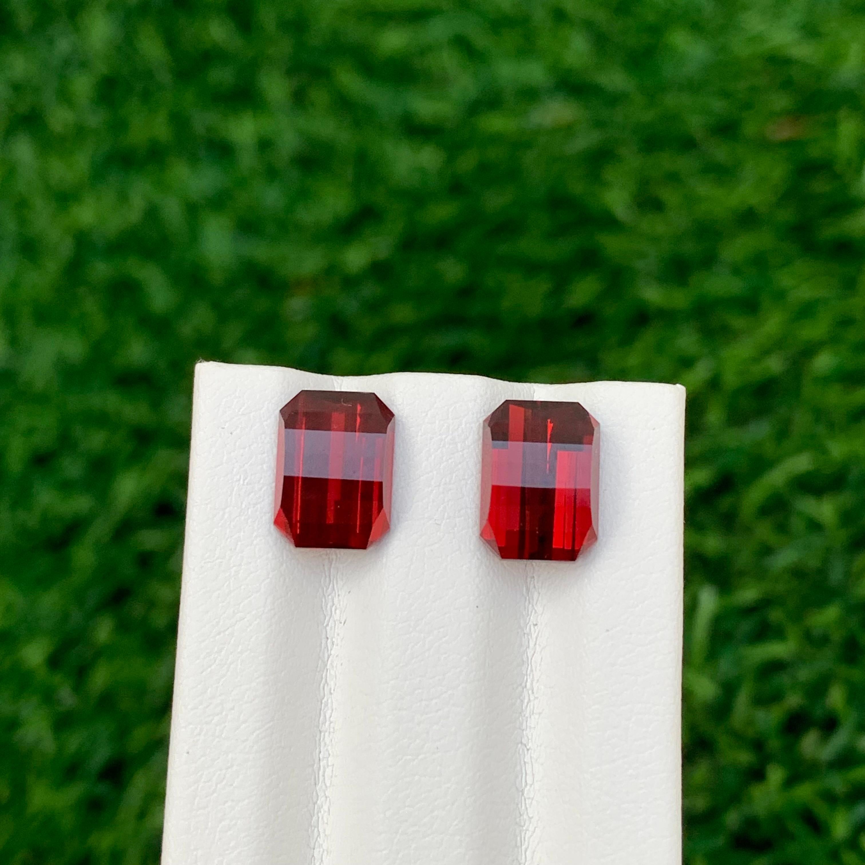 Paire de grenats rhodolite facettés naturels de 7,50 carats, pierre précieuse taille pixel pour boucles d'oreilles en vente 1