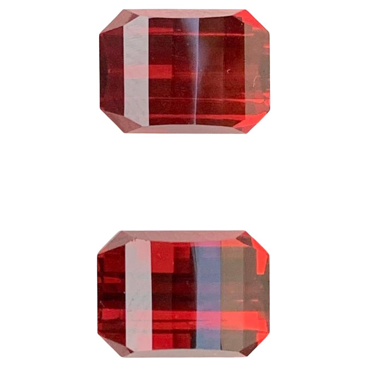 Paire de grenats rhodolite facettés naturels de 7,50 carats, pierre précieuse taille pixel pour boucles d'oreilles en vente
