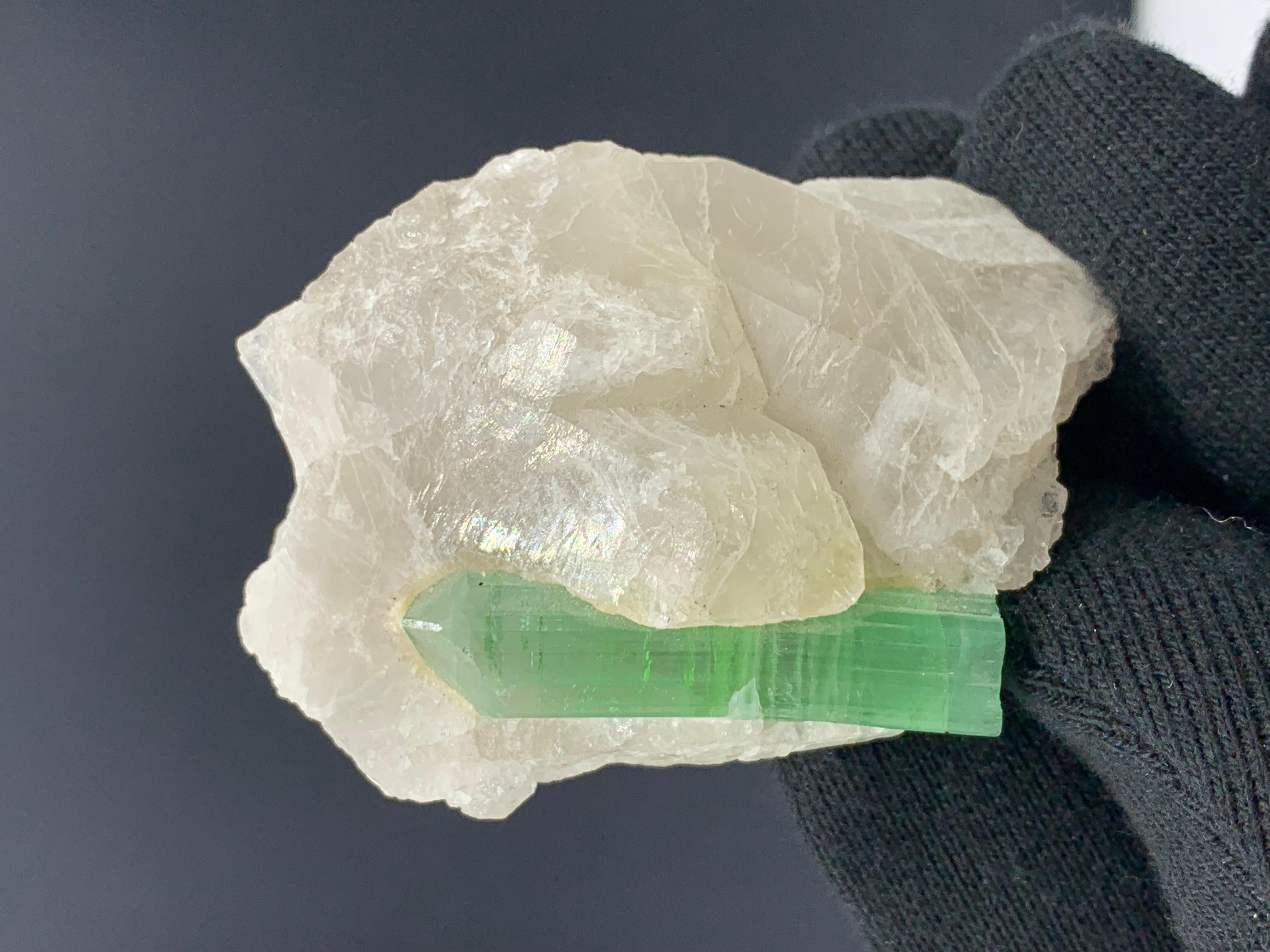 Cristal de roche 75,00 grammes de tourmaline verte attachées à un bouleau de quartz d'Afghanistan en vente