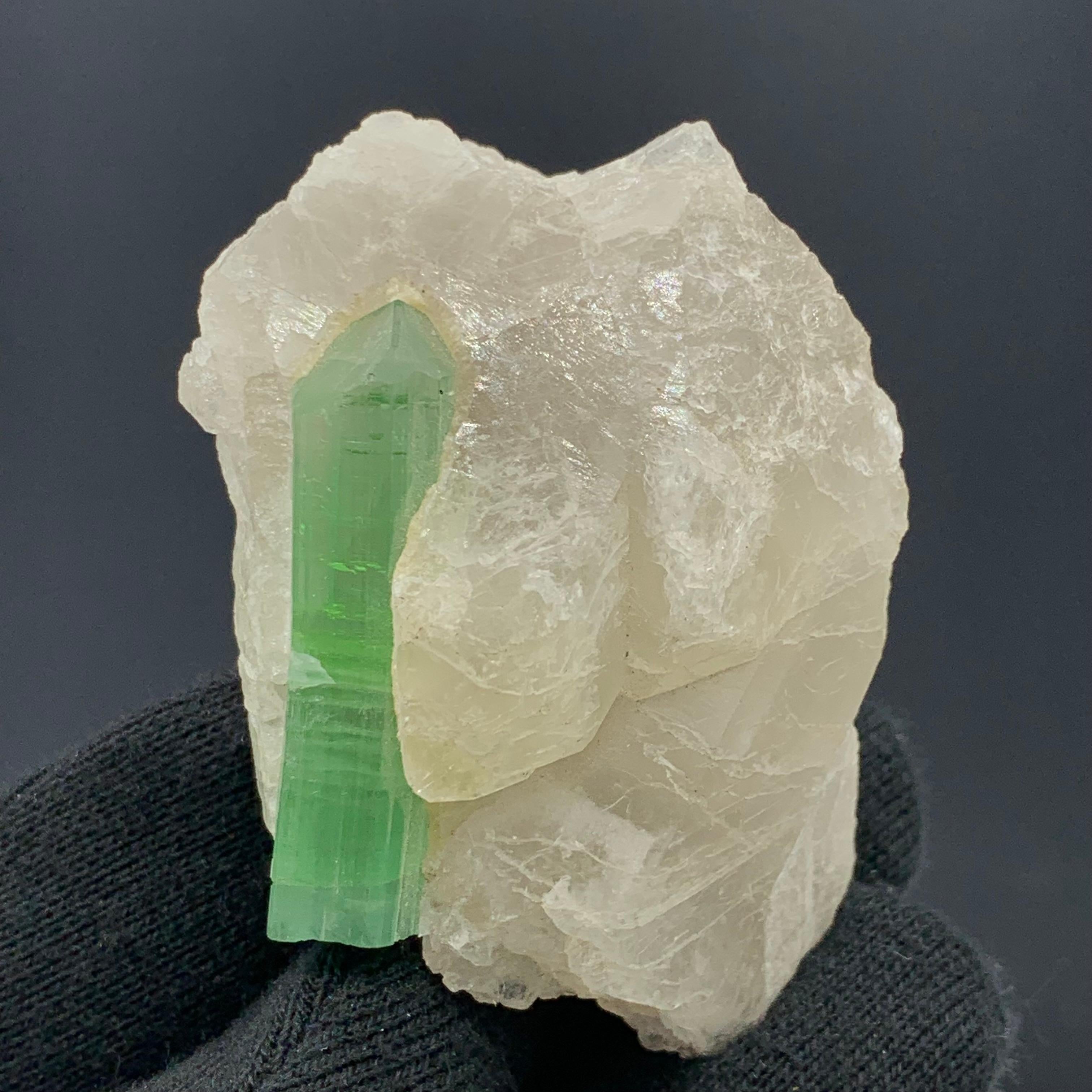 75,00 grammes de tourmaline verte attachées à un bouleau de quartz d'Afghanistan en vente 1