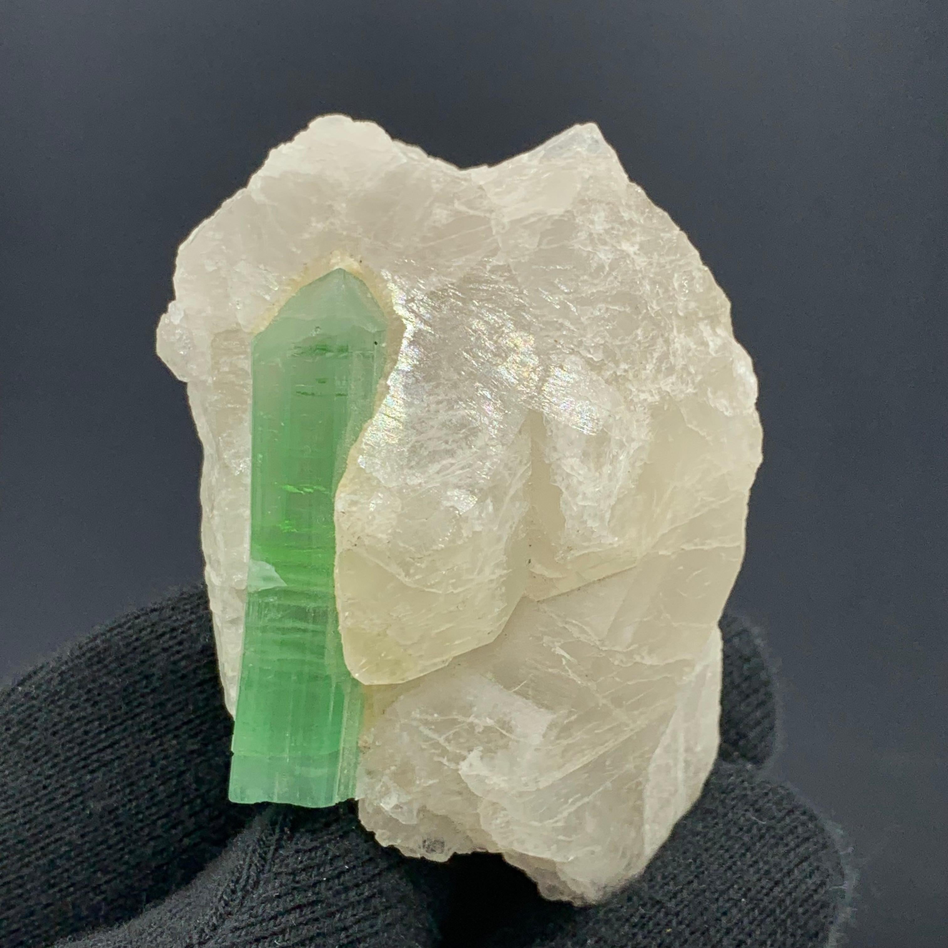 75,00 grammes de tourmaline verte attachées à un bouleau de quartz d'Afghanistan en vente 2