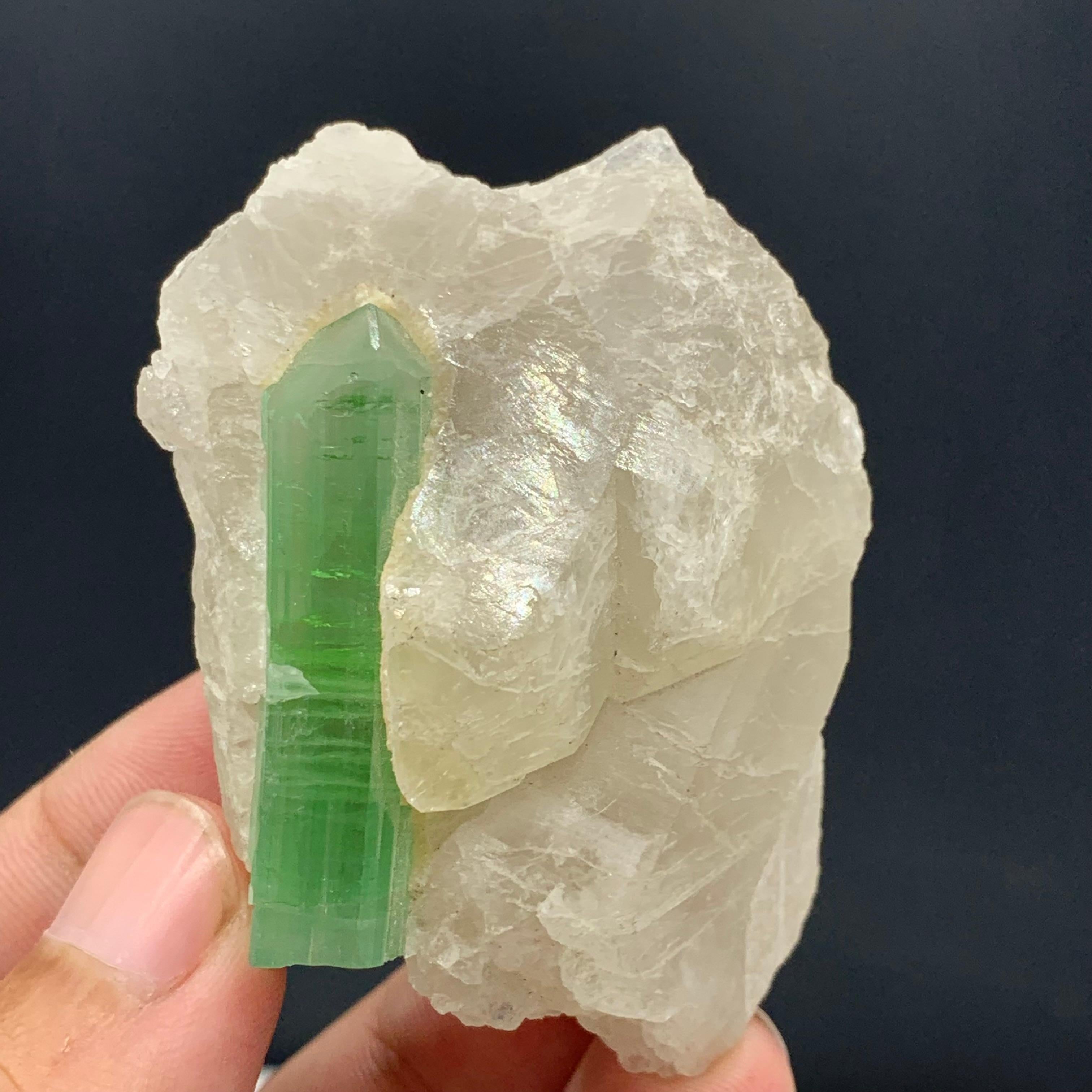 75,00 grammes de tourmaline verte attachées à un bouleau de quartz d'Afghanistan en vente 3