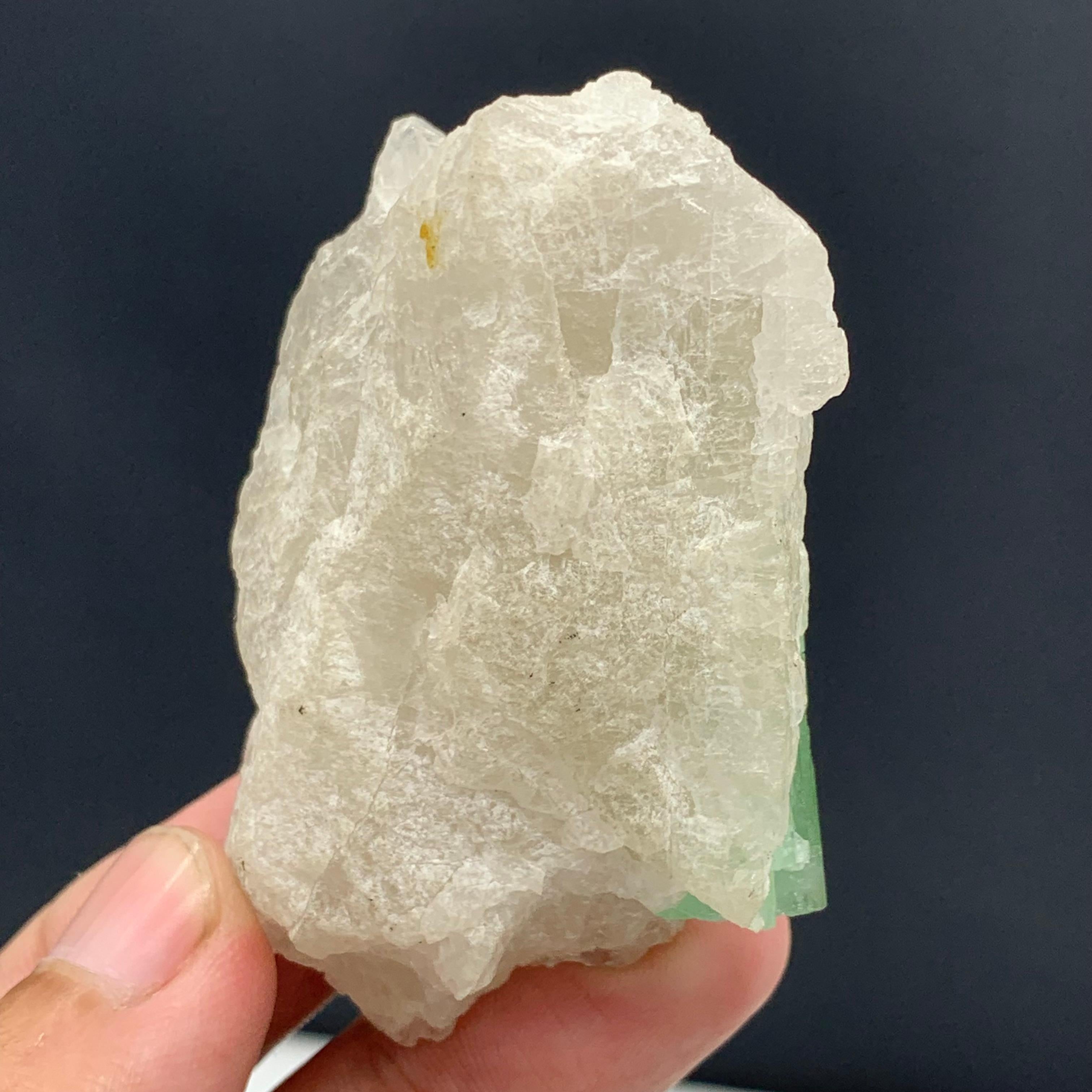 75,00 grammes de tourmaline verte attachées à un bouleau de quartz d'Afghanistan en vente 4