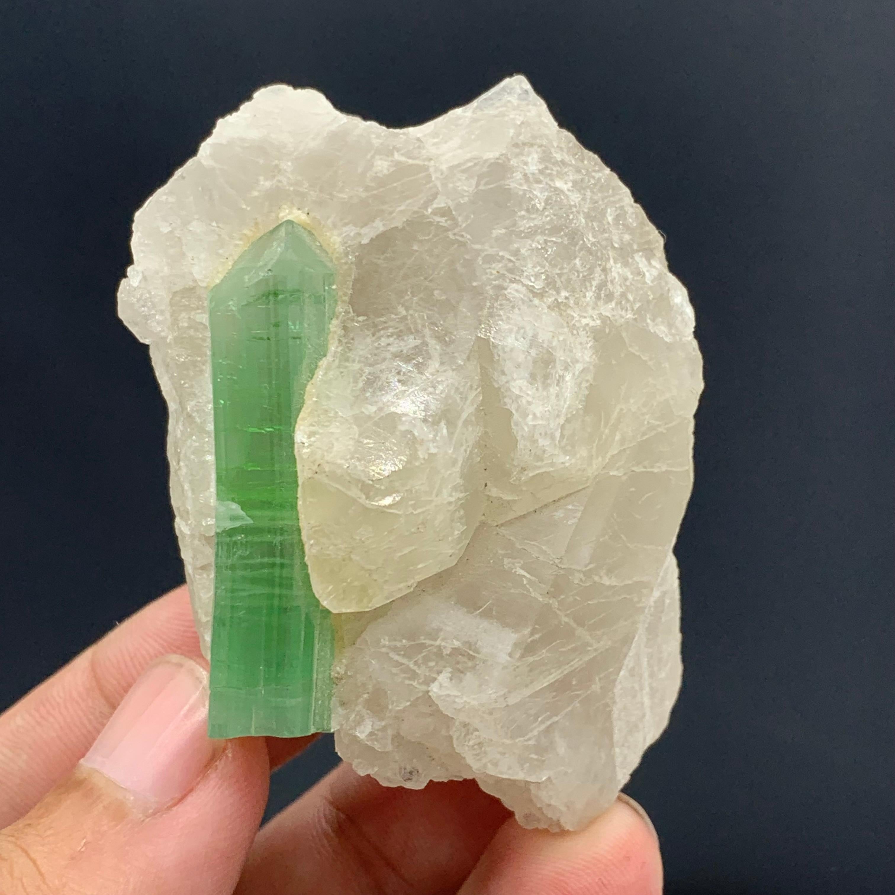 75,00 grammes de tourmaline verte attachées à un bouleau de quartz d'Afghanistan en vente 5