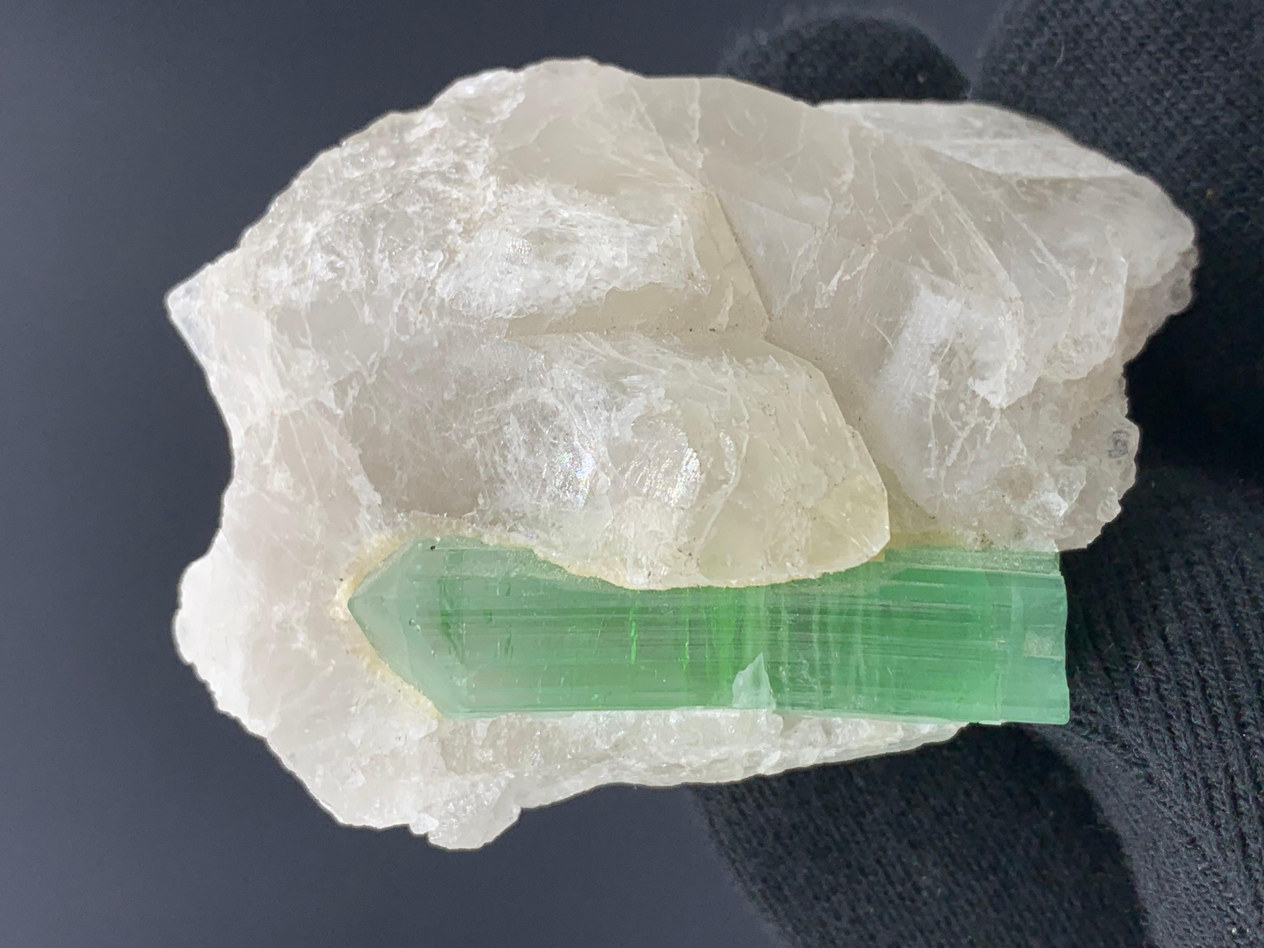 75.00 Gramme Cristal de Tourmaline Verte Attaché à un bouquet de Quartz d'Afghanistan 

Poids : 75,00 grammes
Dimension : 5,8 x 4,4 x 2,9 cm
Origine : Kunar, Afghanistan 


La tourmaline est un groupe minéral de silicate cristallin dans lequel le