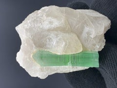 75,00 gramo de cristal de turmalina verde unido a un manojo de cuarzo procedente de Afganistán